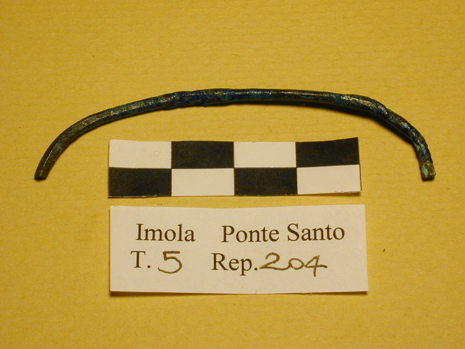 SINGOLO OGGETTO/ fibula, PERIODIZZAZIONI/ PROTOSTORIA/ Eta' del Ferro/ Prima eta' del Ferro