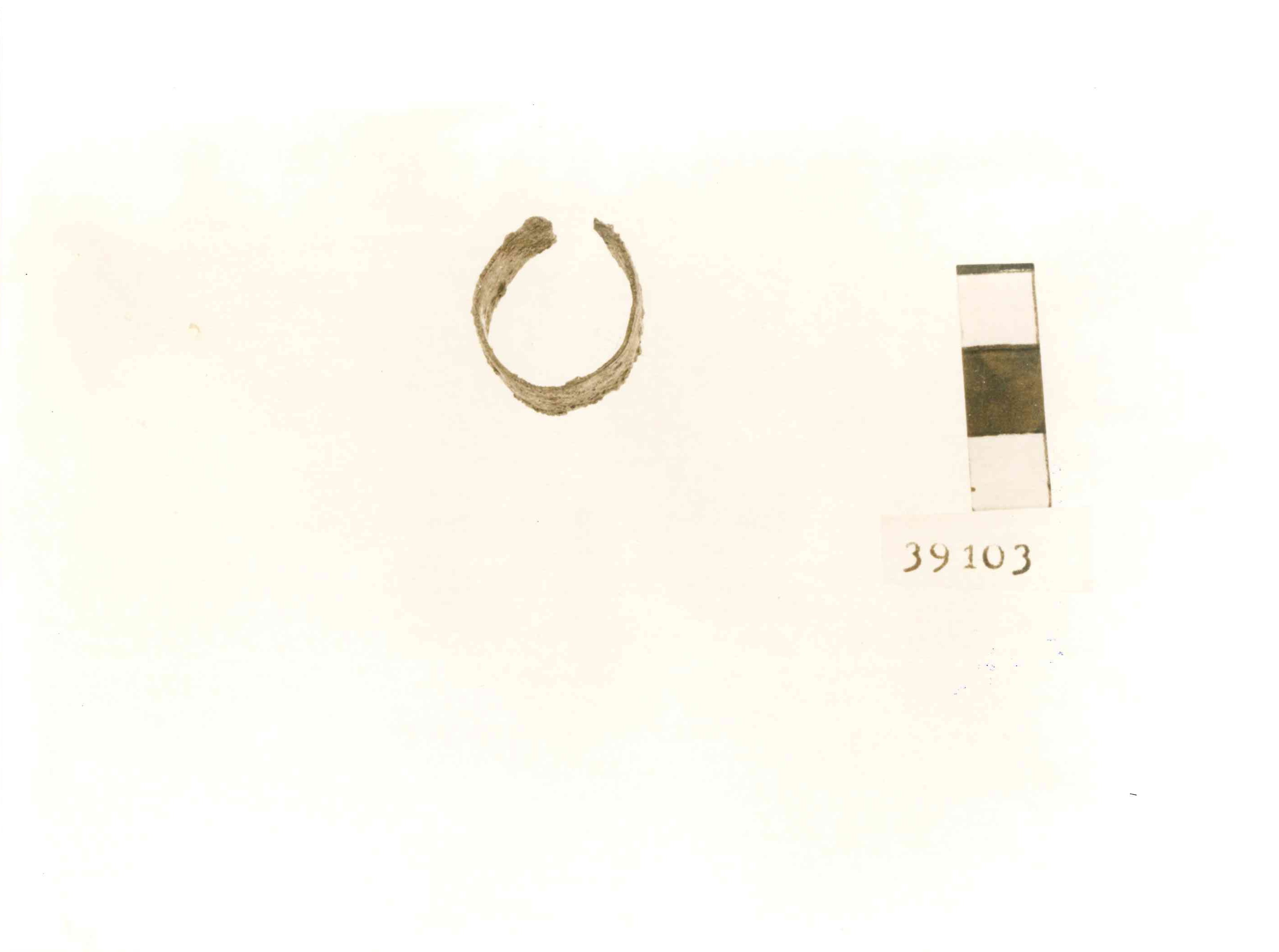 anello/ digitale (non determinabile)