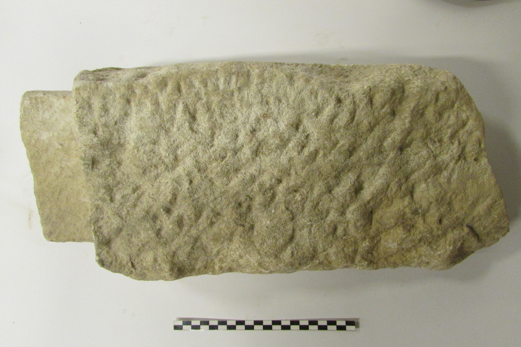 SINGOLO OGGETTO/ blocco, non determinabile