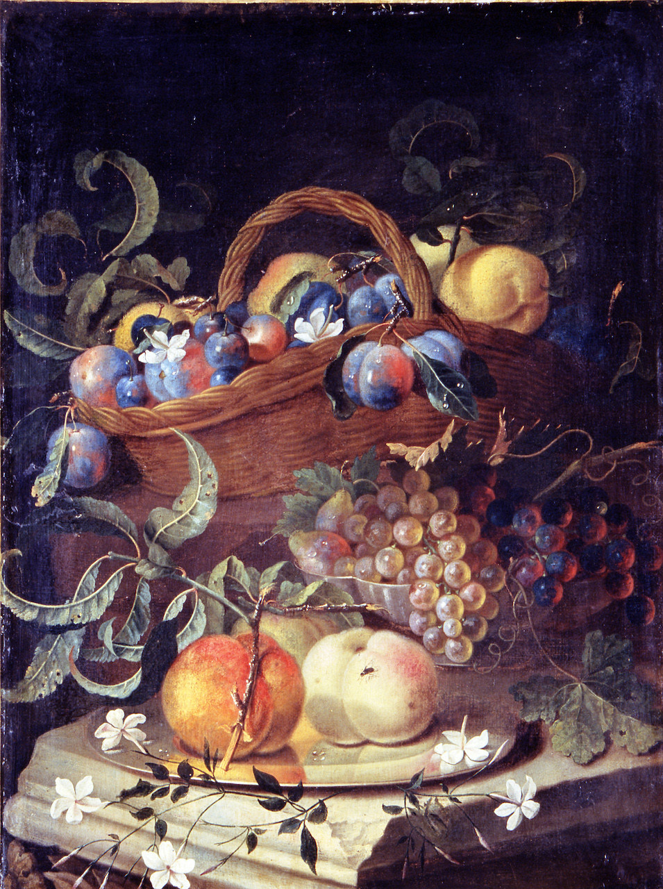 natura morta con frutta (dipinto) di Pfeiler Maximilian (primo quarto sec. XVIII)