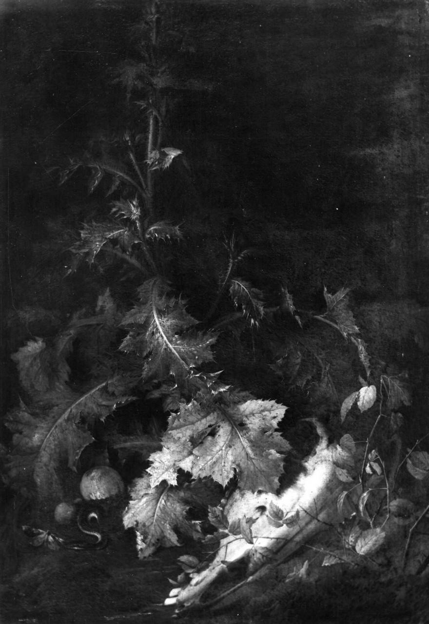 Vanitas (dipinto) di Van Schrieck Otto Marseus detto Ottone Marcellis (cerchia) (sec. XVII)