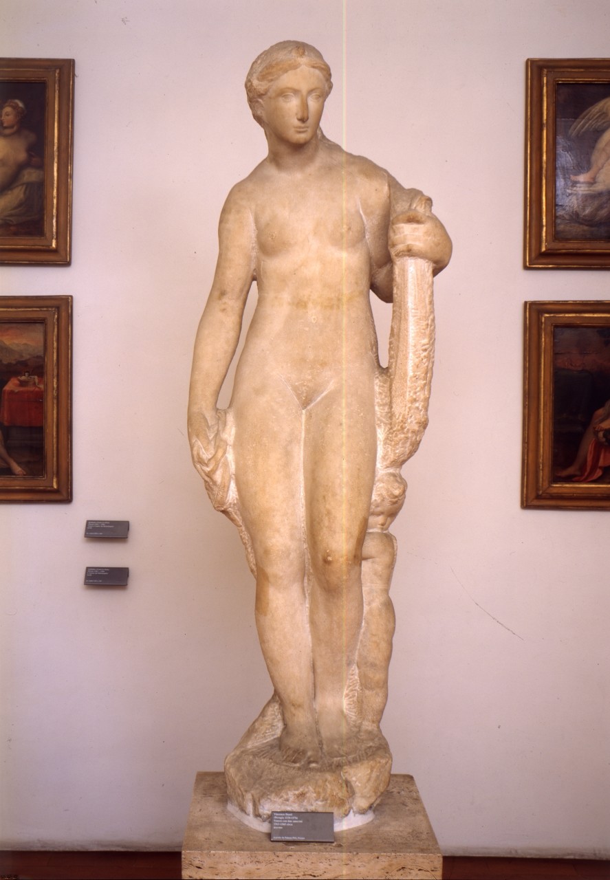 Venere (scultura) di Danti Vincenzo (attribuito) (sec. XVI)
