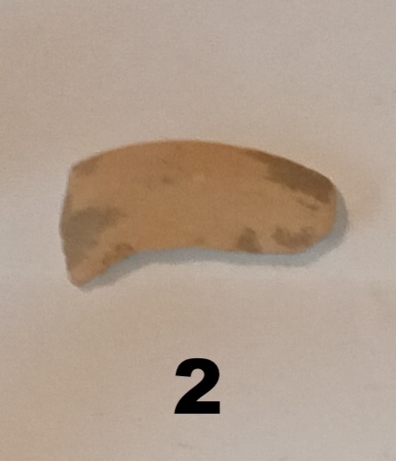 SINGOLO OGGETTO, PERIODIZZAZIONI/ STORIA/ Età antica/ Età romana