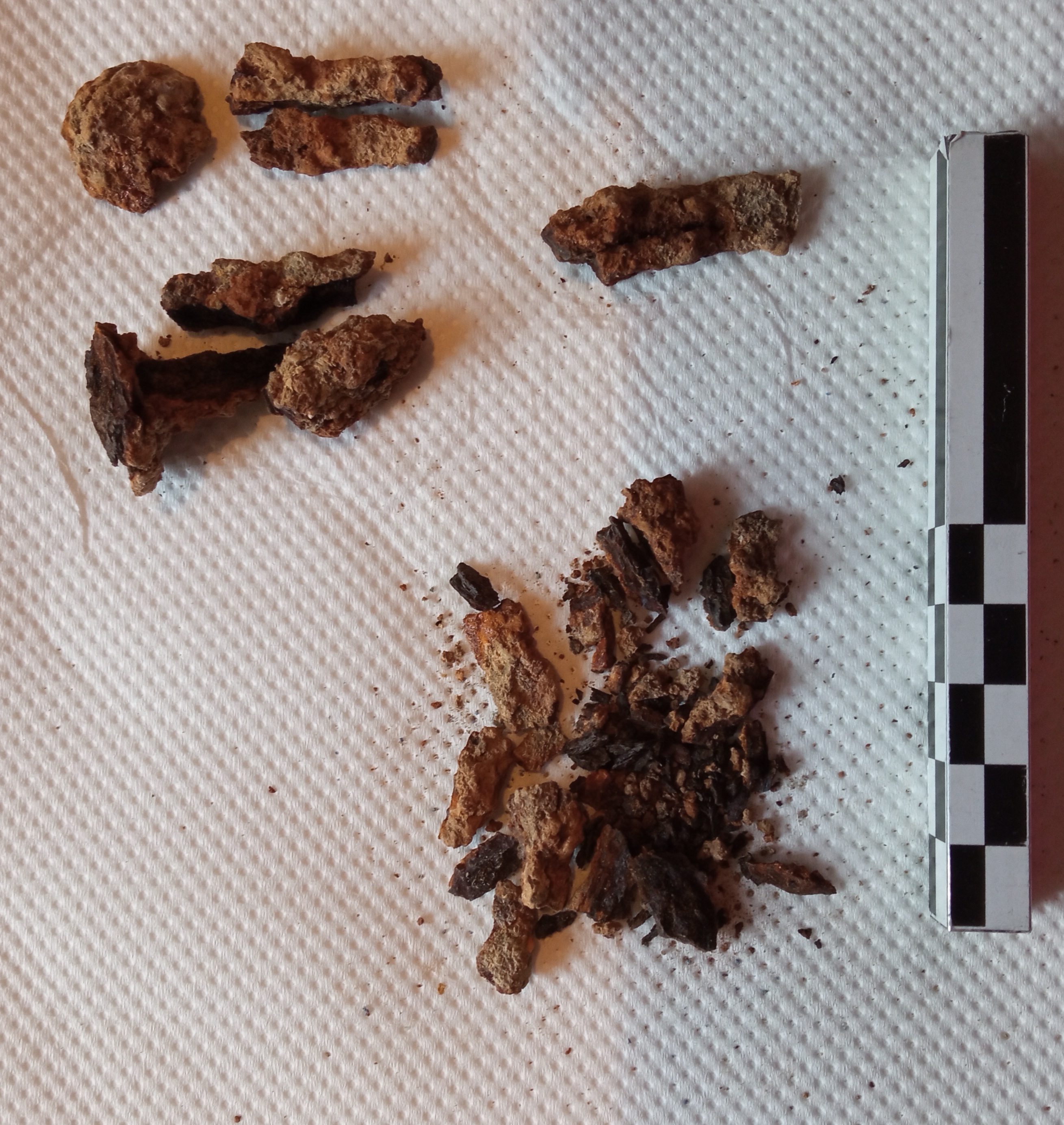 SINGOLO OGGETTO, non determinabile