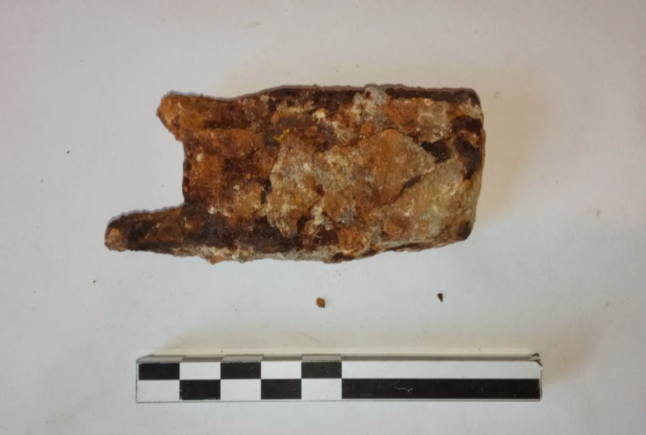 SINGOLO OGGETTO/ zappa, PERIODIZZAZIONI/ STORIA/ Età antica/ Età romana