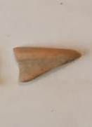 SINGOLO OGGETTO, PERIODIZZAZIONI/ STORIA/ Età antica/ Età romana