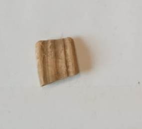 SINGOLO OGGETTO, PERIODIZZAZIONI/ STORIA/ Età antica/ Età romana