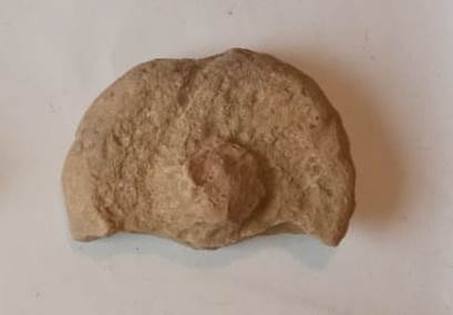 SINGOLO OGGETTO/ tappo, PERIODIZZAZIONI/ STORIA/ Età antica/ Età romana