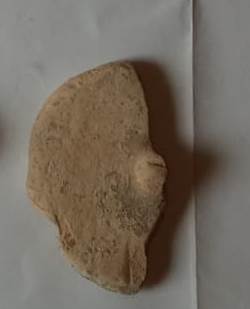 SINGOLO OGGETTO/ tappo, PERIODIZZAZIONI/ STORIA/ Età antica/ Età romana