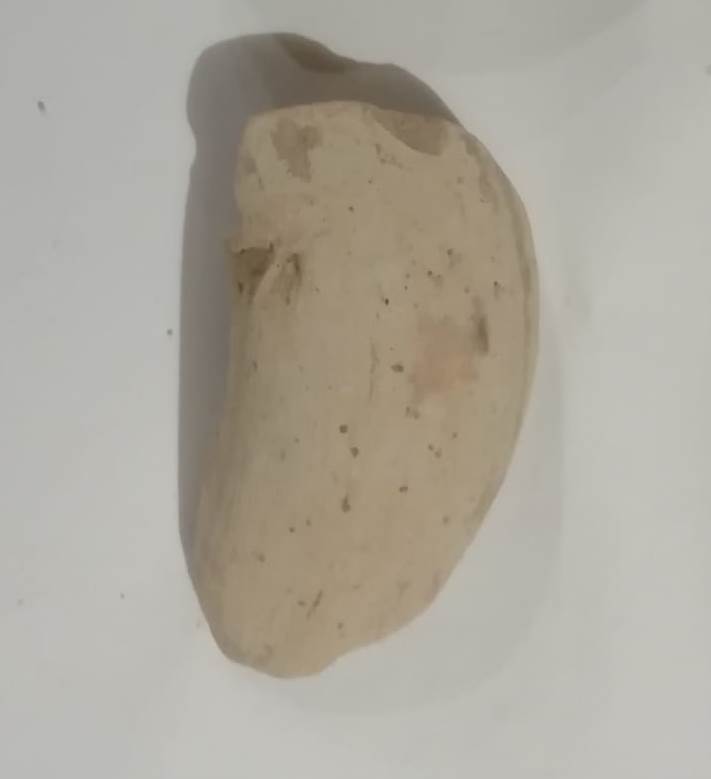 SINGOLO OGGETTO/ anfora, PERIODIZZAZIONI/ STORIA/ Età antica/ Età romana