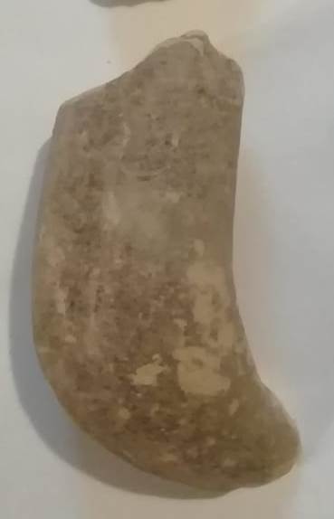 SINGOLO OGGETTO, PERIODIZZAZIONI/ STORIA/ Età antica/ Età romana