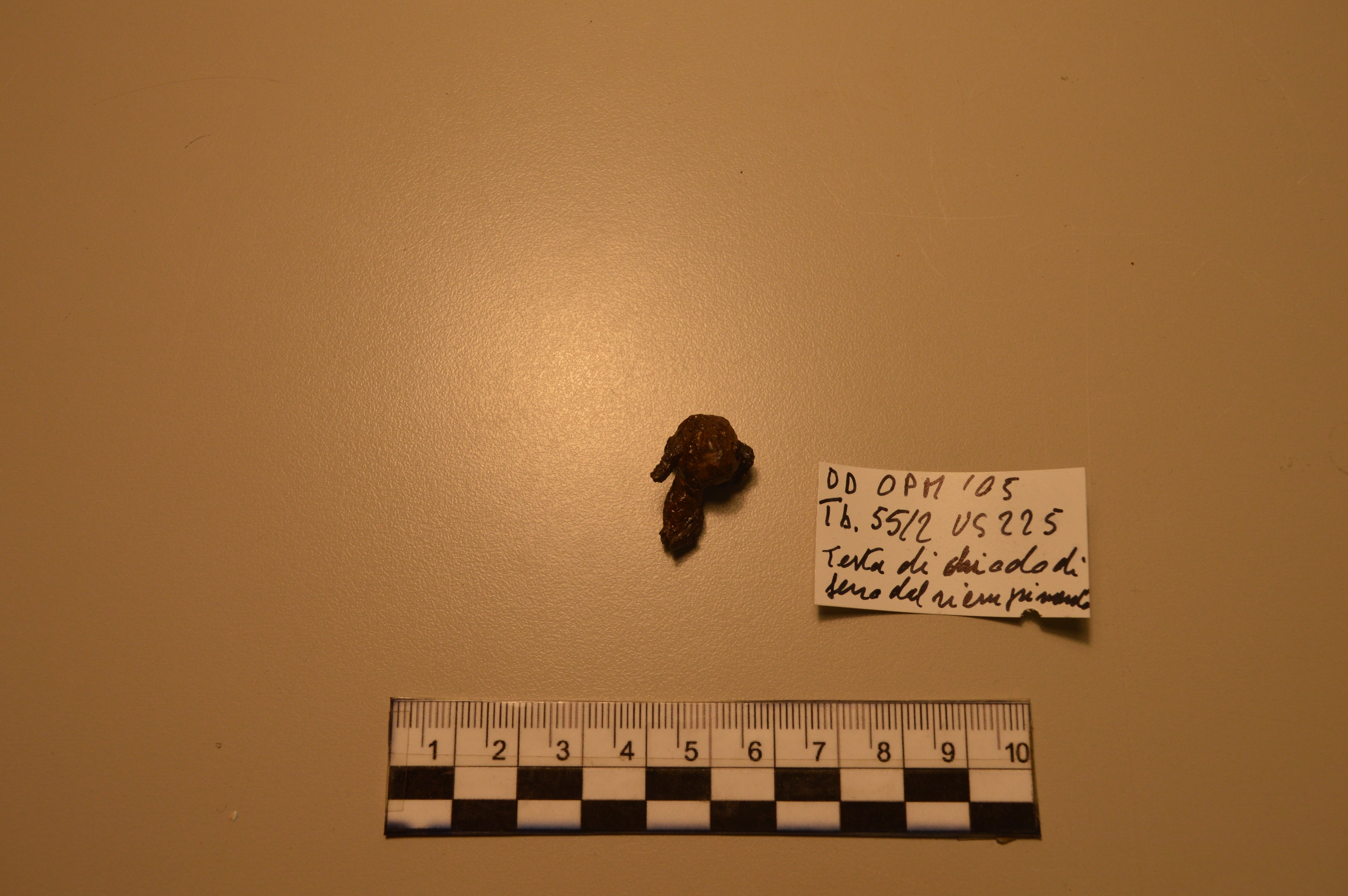 SINGOLO OGGETTO/ chiodo, PERIODIZZAZIONI/ PROTOSTORIA/ Età del Ferro/ Seconda età del Ferro