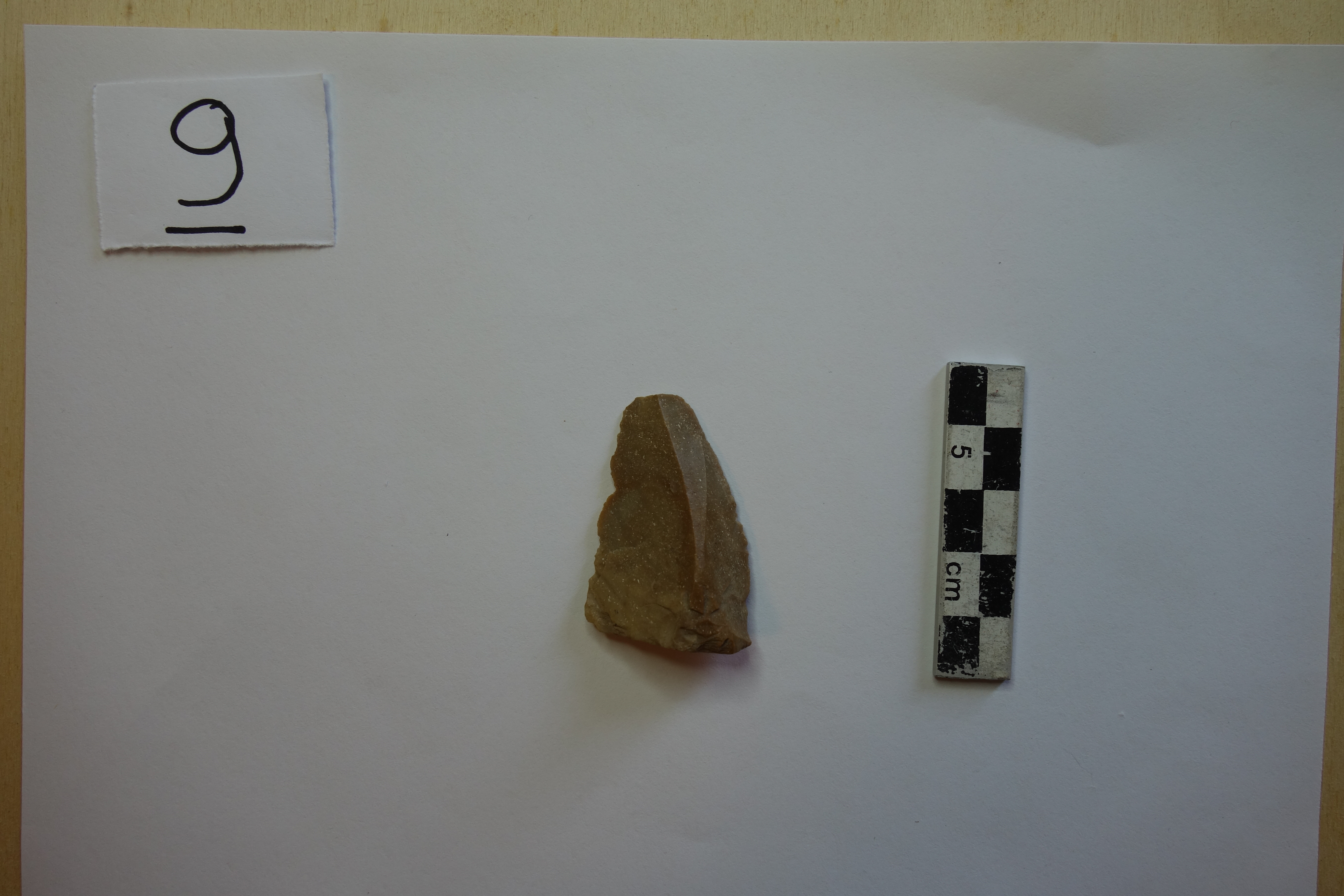 SINGOLO OGGETTO/ scheggia, PERIODIZZAZIONI/ PREISTORIA/ Predinastico