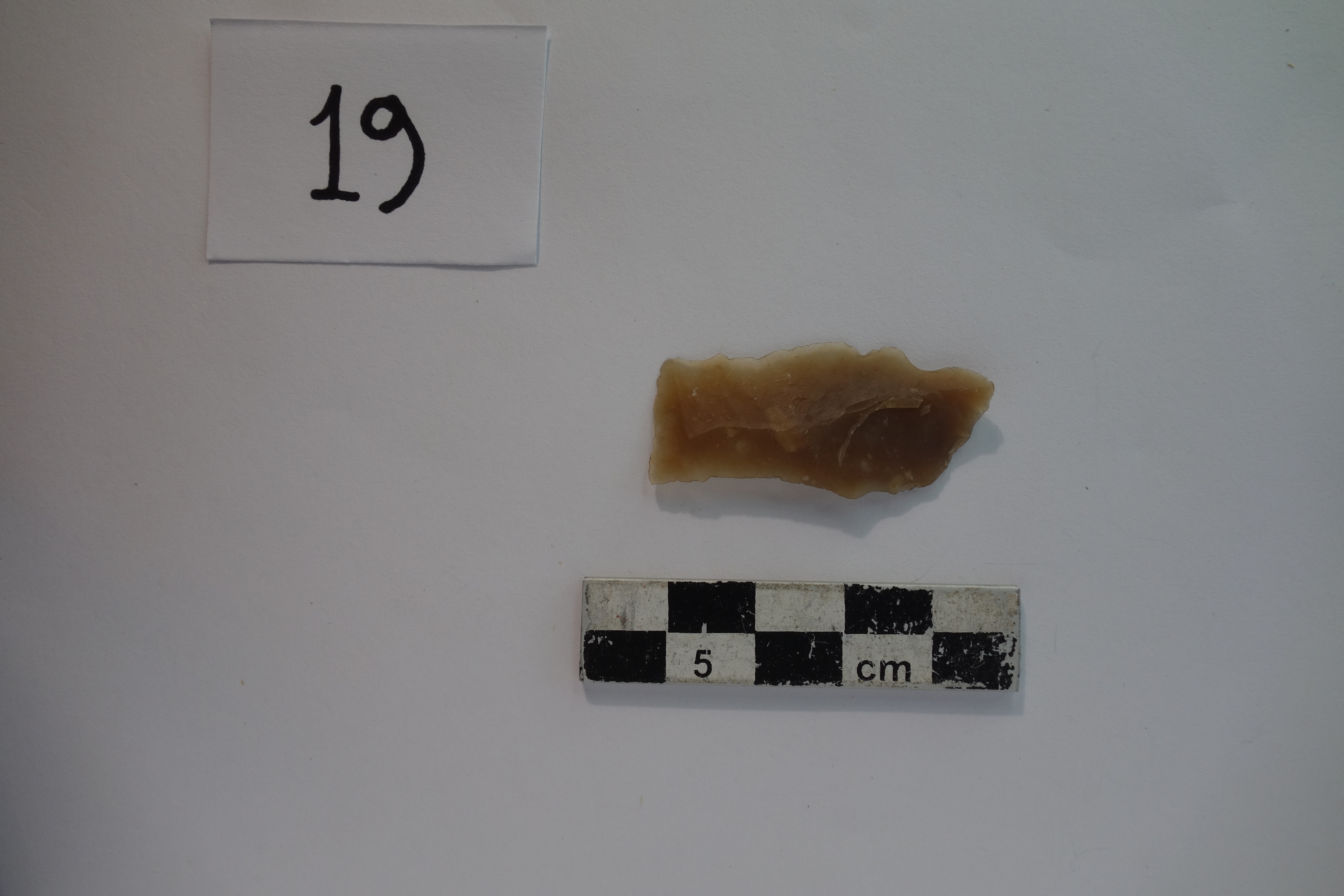 SINGOLO OGGETTO/ scheggia, PERIODIZZAZIONI/ PREISTORIA/ Predinastico