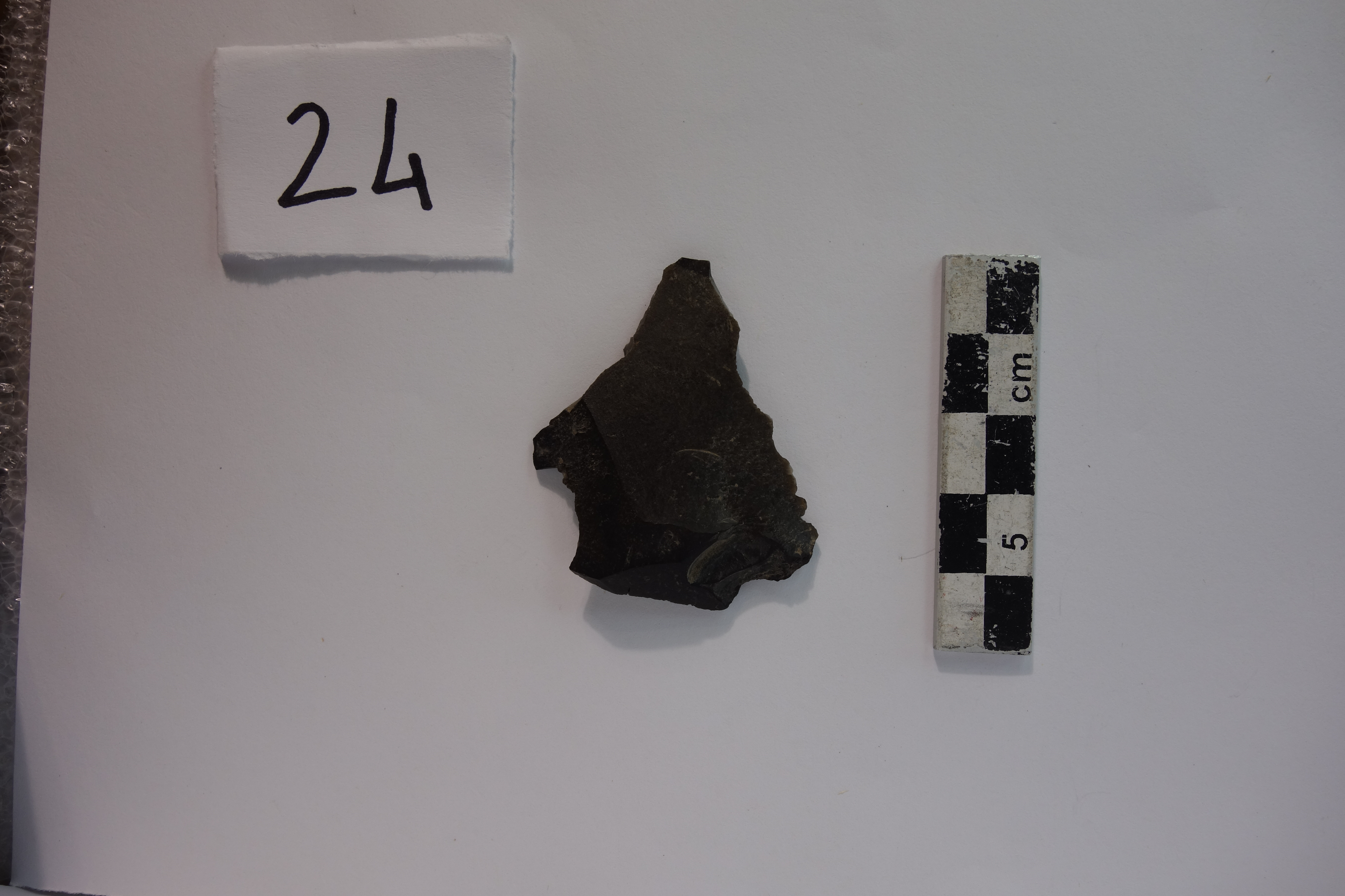 SINGOLO OGGETTO/ scheggia, PERIODIZZAZIONI/ PREISTORIA/ Predinastico