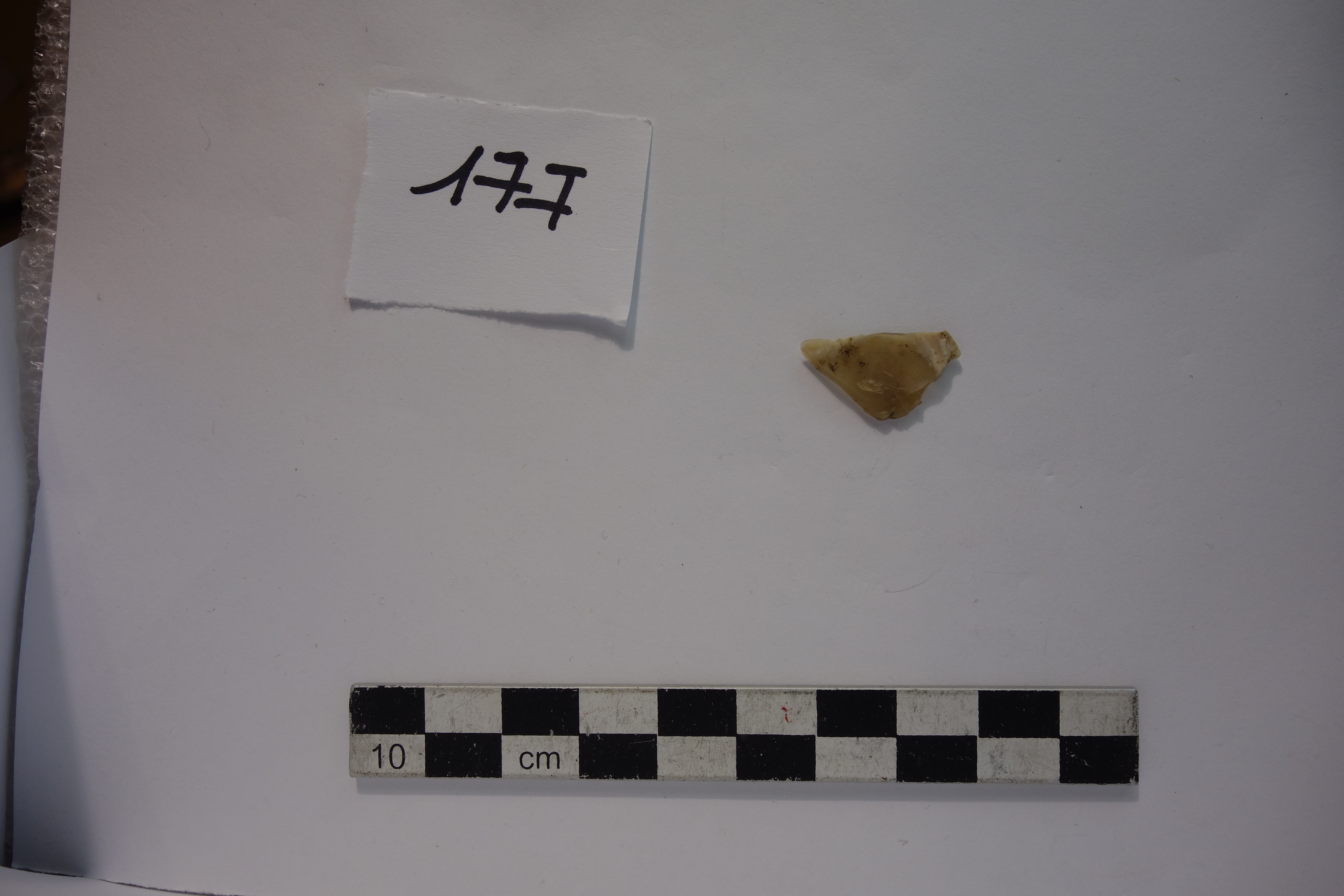 SINGOLO OGGETTO/ scheggia, PERIODIZZAZIONI/ PREISTORIA/ Predinastico