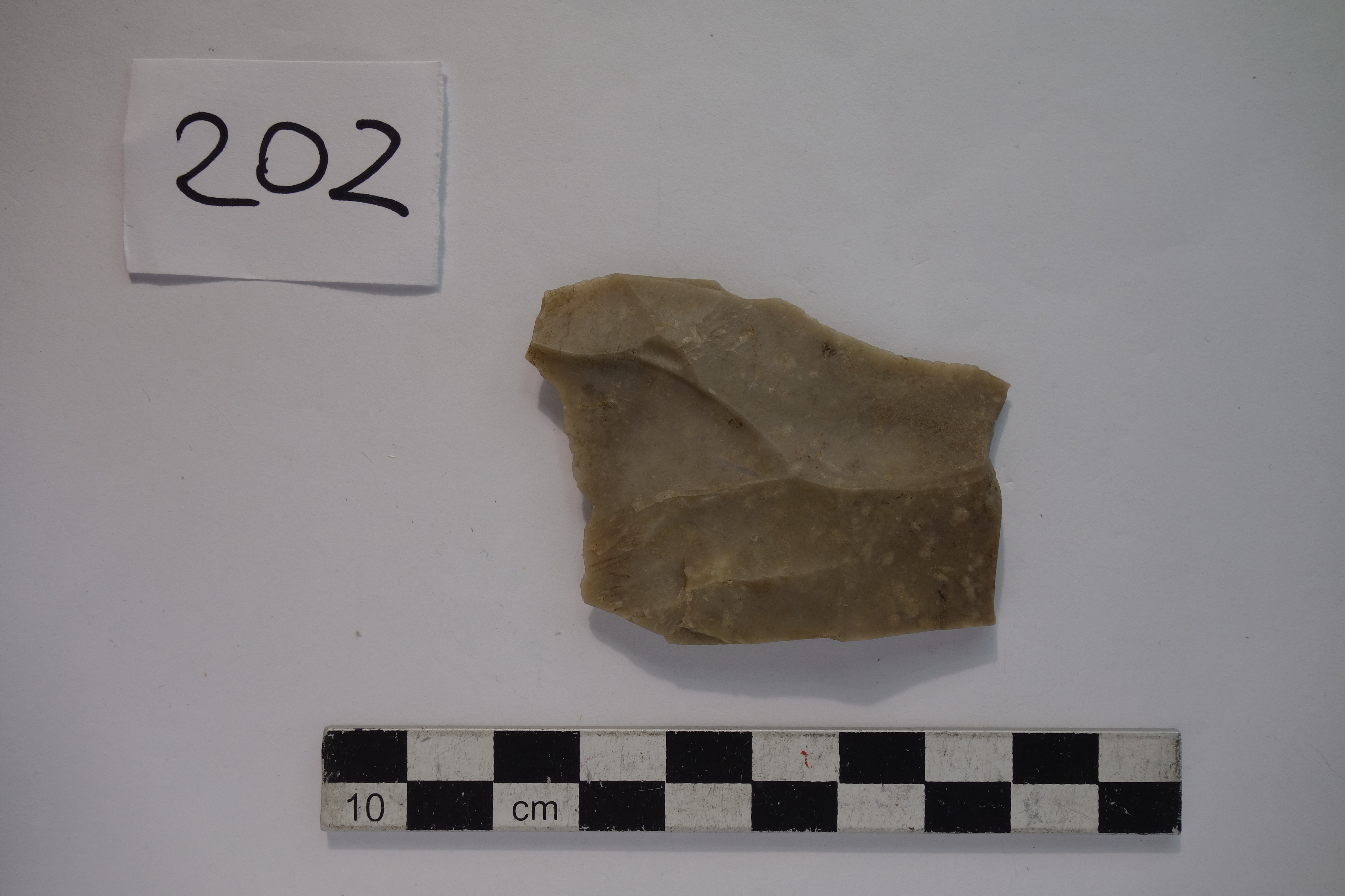 SINGOLO OGGETTO/ scheggia, PERIODIZZAZIONI/ PREISTORIA/ Predinastico