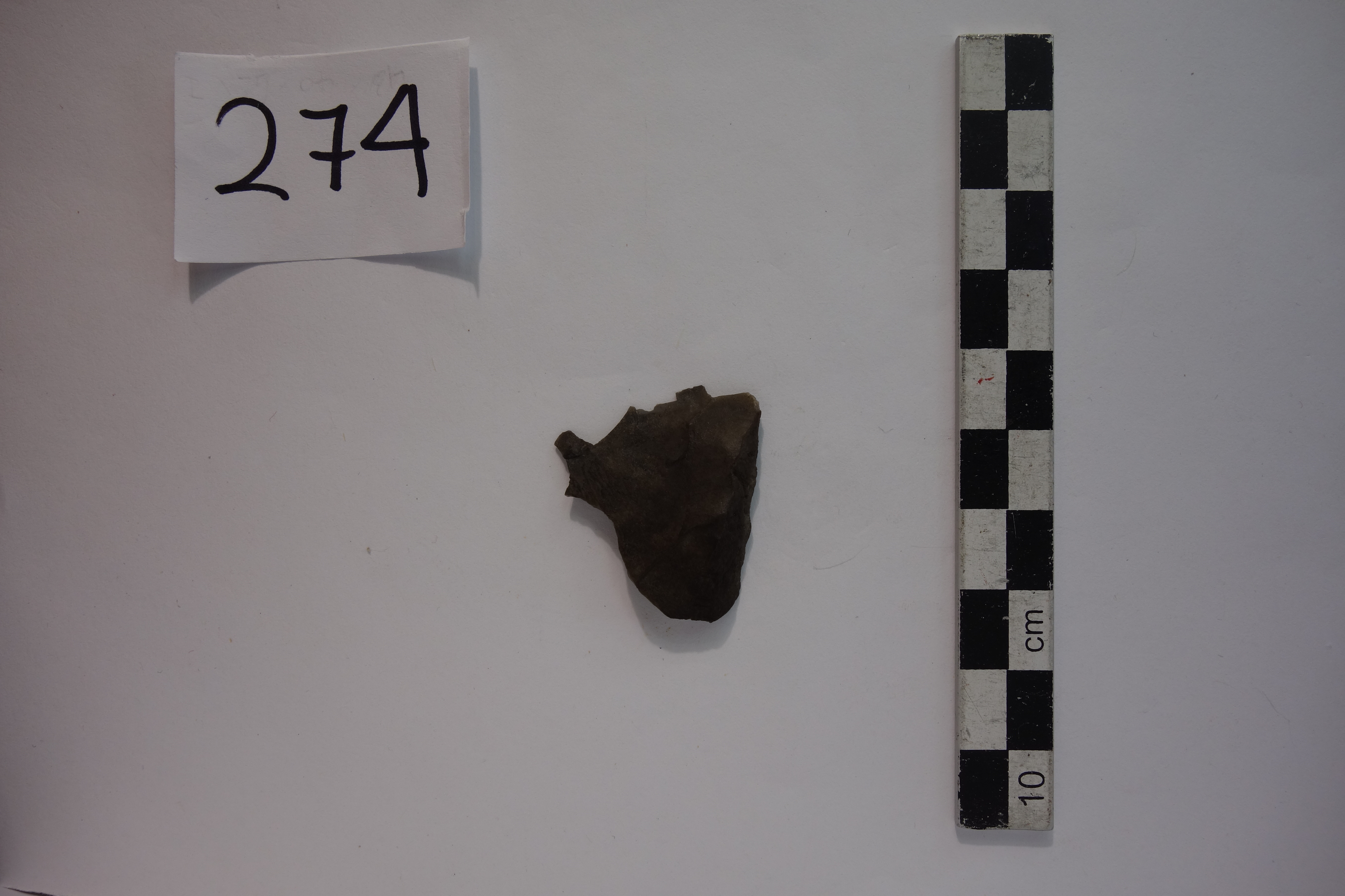 SINGOLO OGGETTO/ scheggia, PERIODIZZAZIONI/ PREISTORIA/ Predinastico