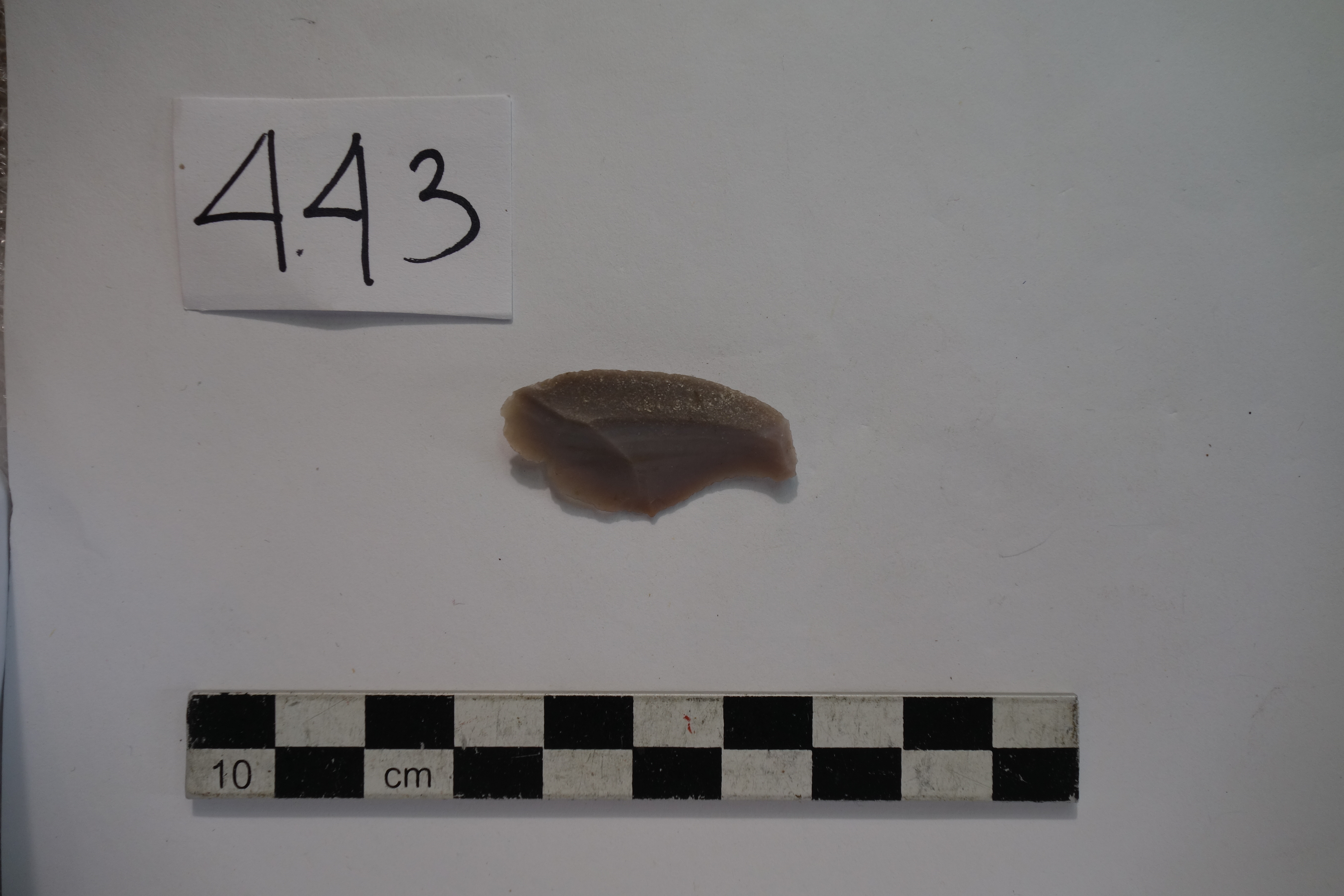 SINGOLO OGGETTO/ scheggia, PERIODIZZAZIONI/ PREISTORIA/ Predinastico