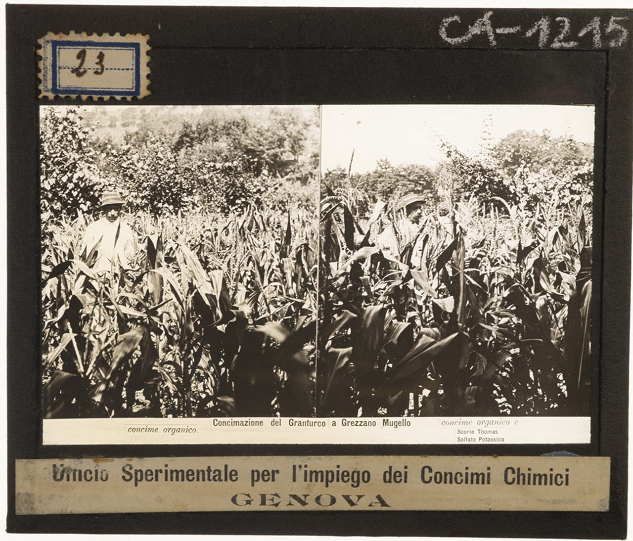 Toscana - Mugello - Grezzano (positivo) di Anonimo (XX)