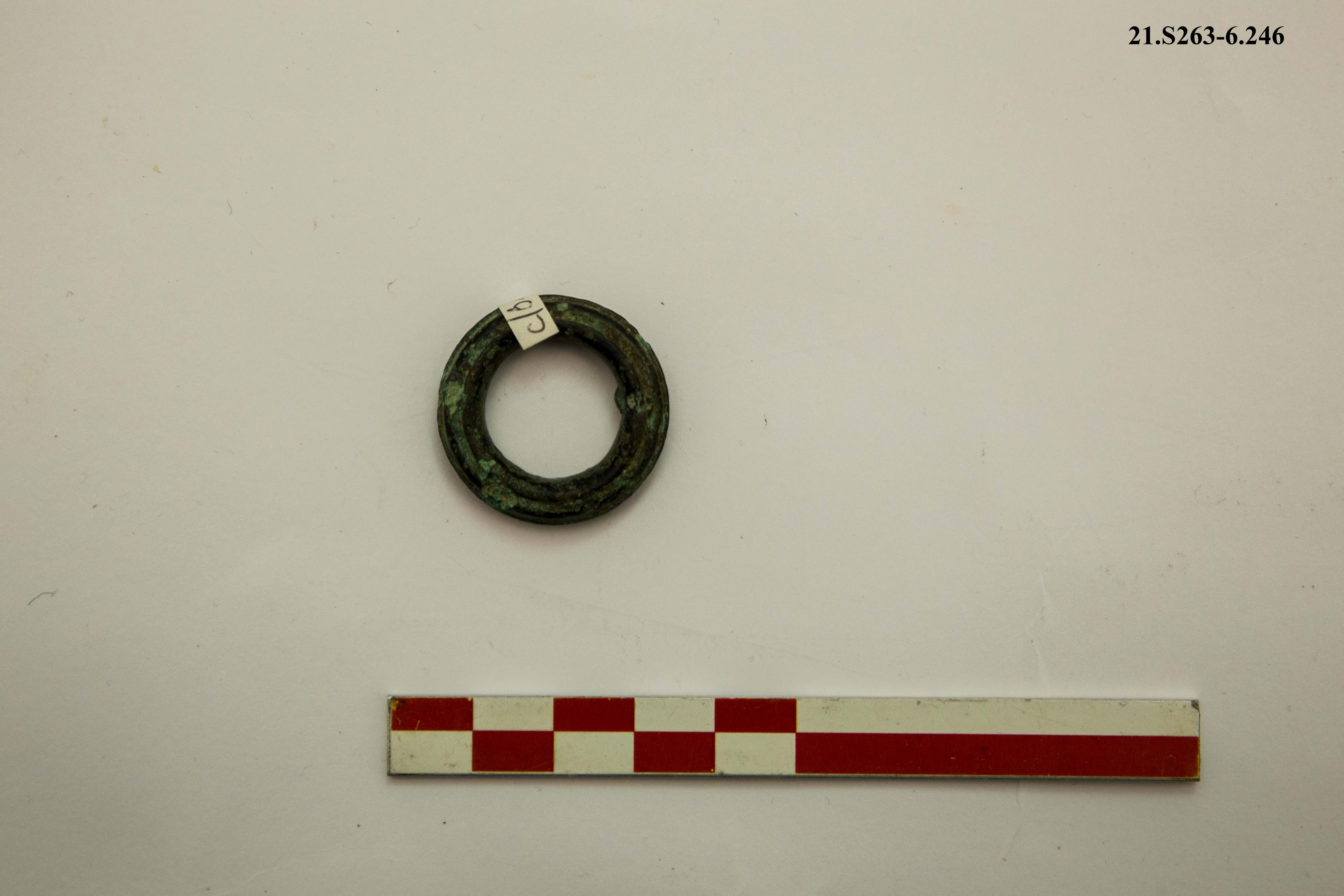 SINGOLO OGGETTO/ anello, PERIODIZZAZIONI/ PROTOSTORIA/ Età del Ferro