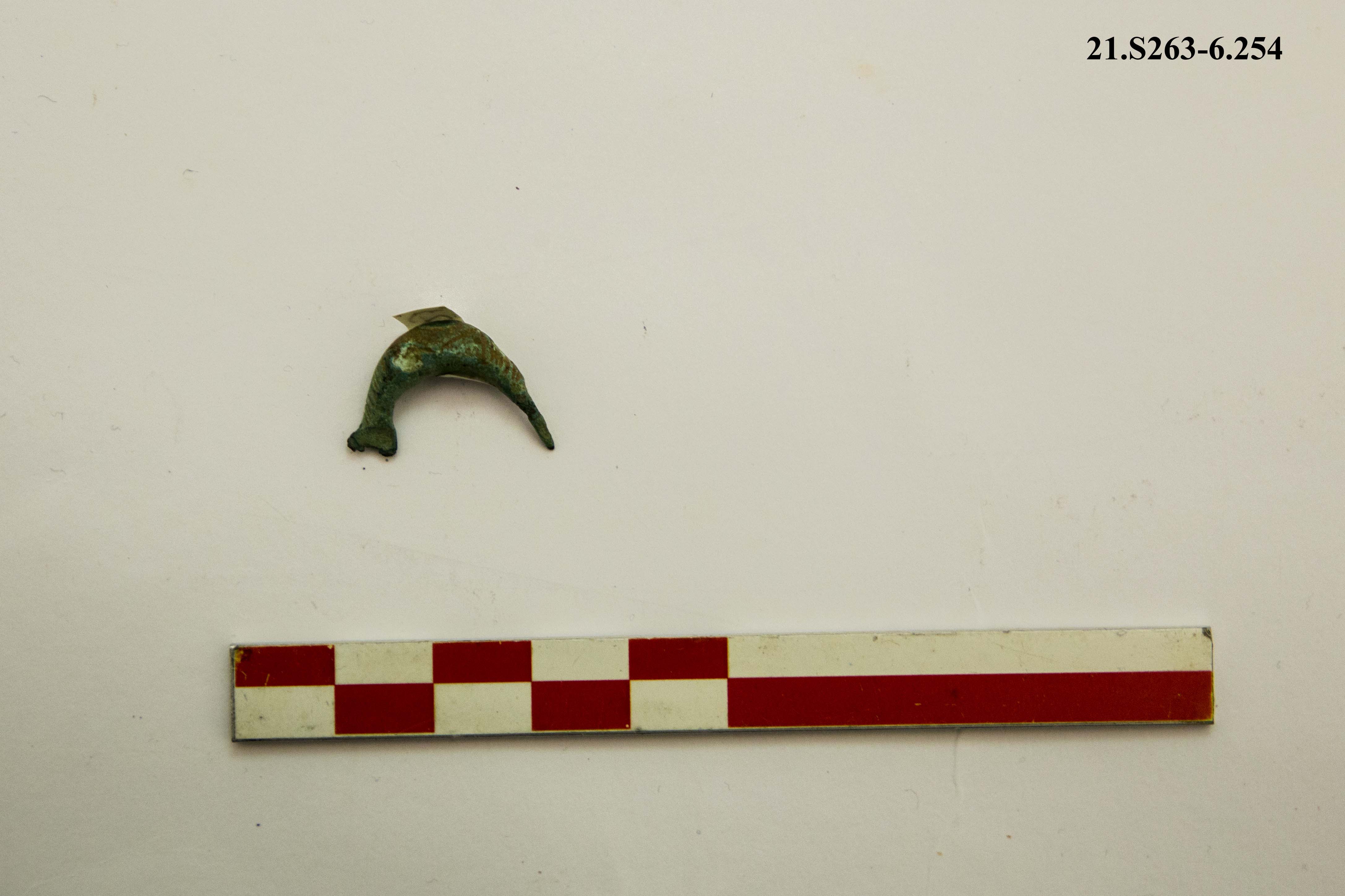 SINGOLO OGGETTO/ fibula, PERIODIZZAZIONI/ PROTOSTORIA/ Età del Ferro