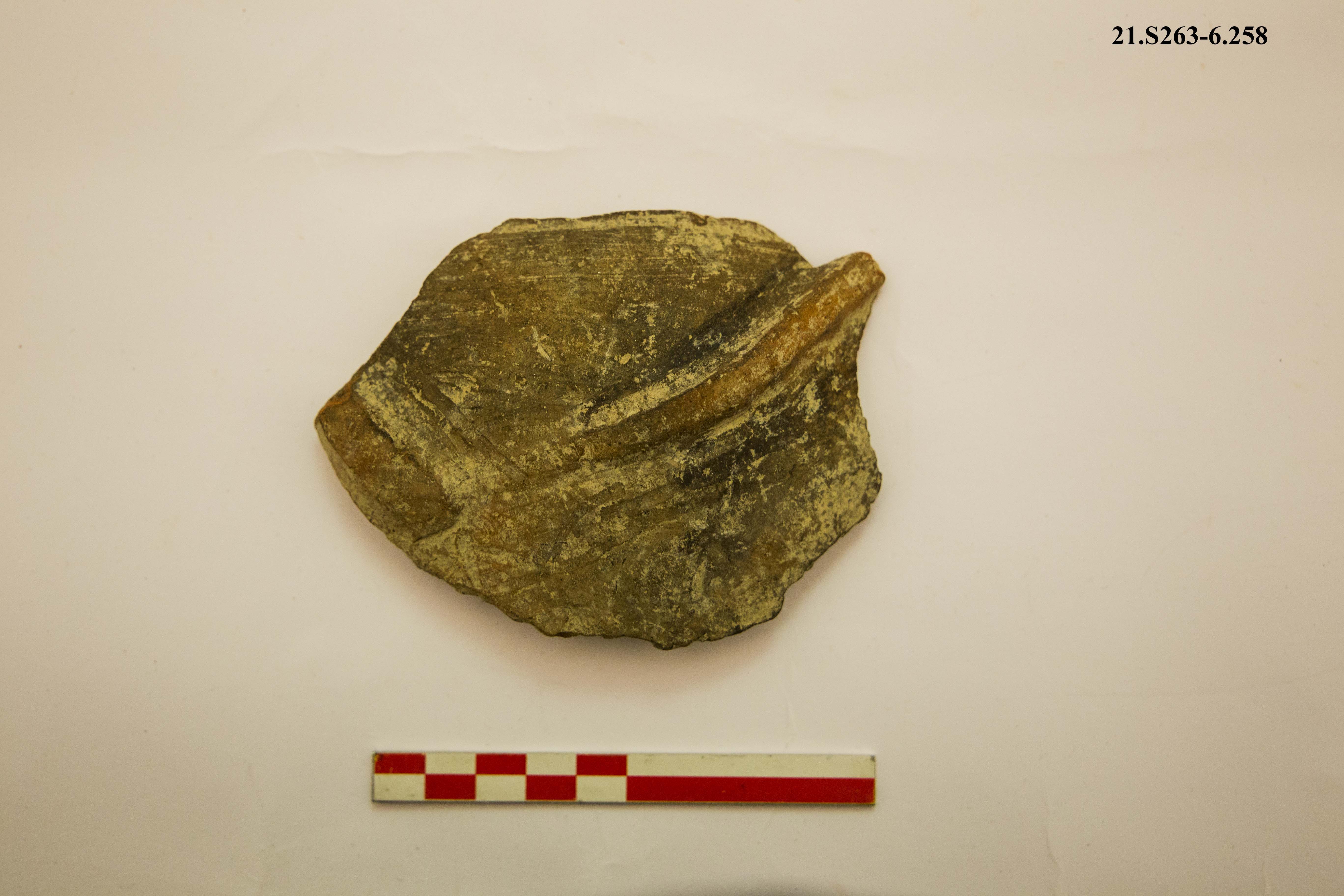 SINGOLO OGGETTO/ ciotola, PERIODIZZAZIONI/ PROTOSTORIA/ Età del Ferro