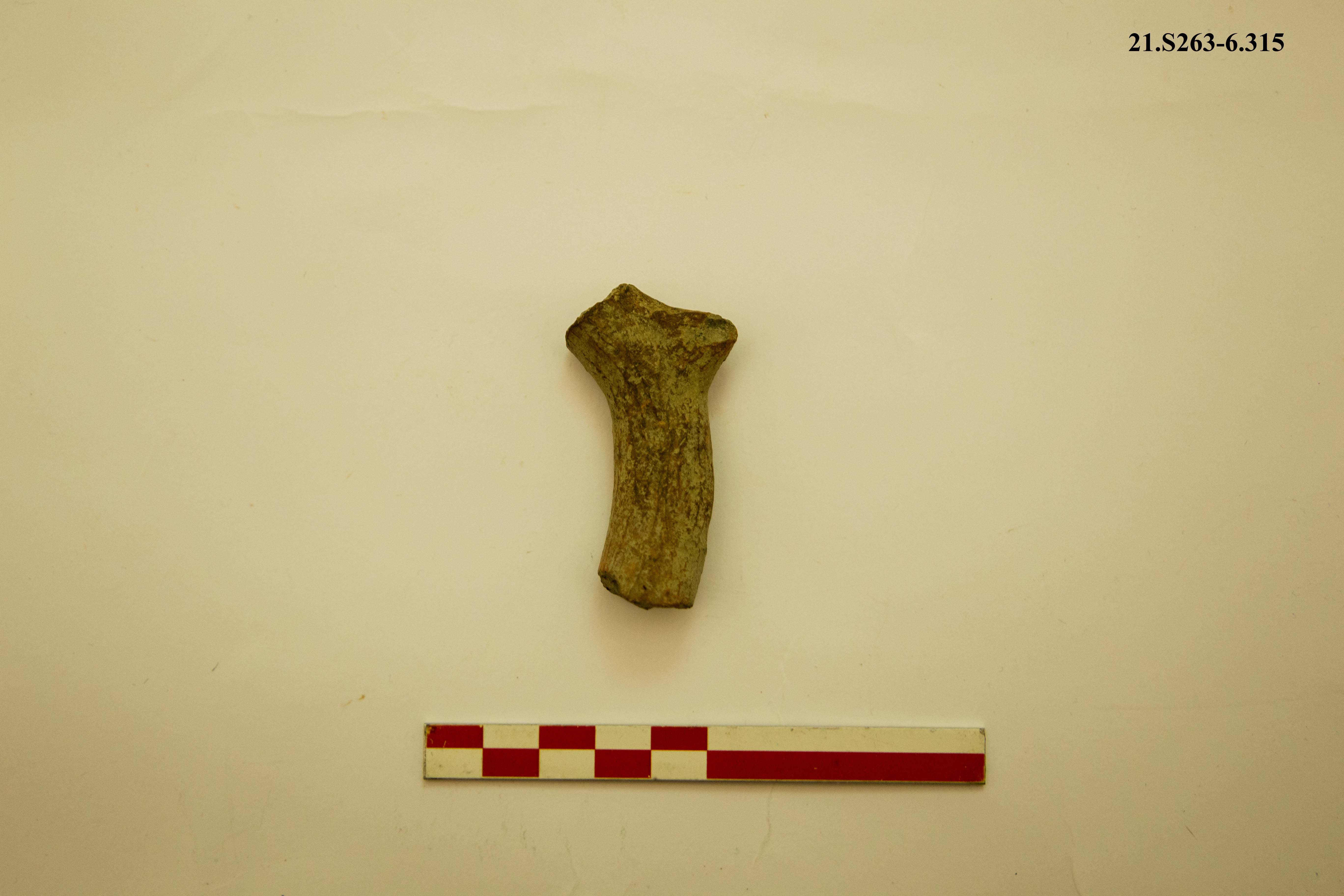 SINGOLO OGGETTO/ tazza, PERIODIZZAZIONI/ PROTOSTORIA/ Età del Bronzo