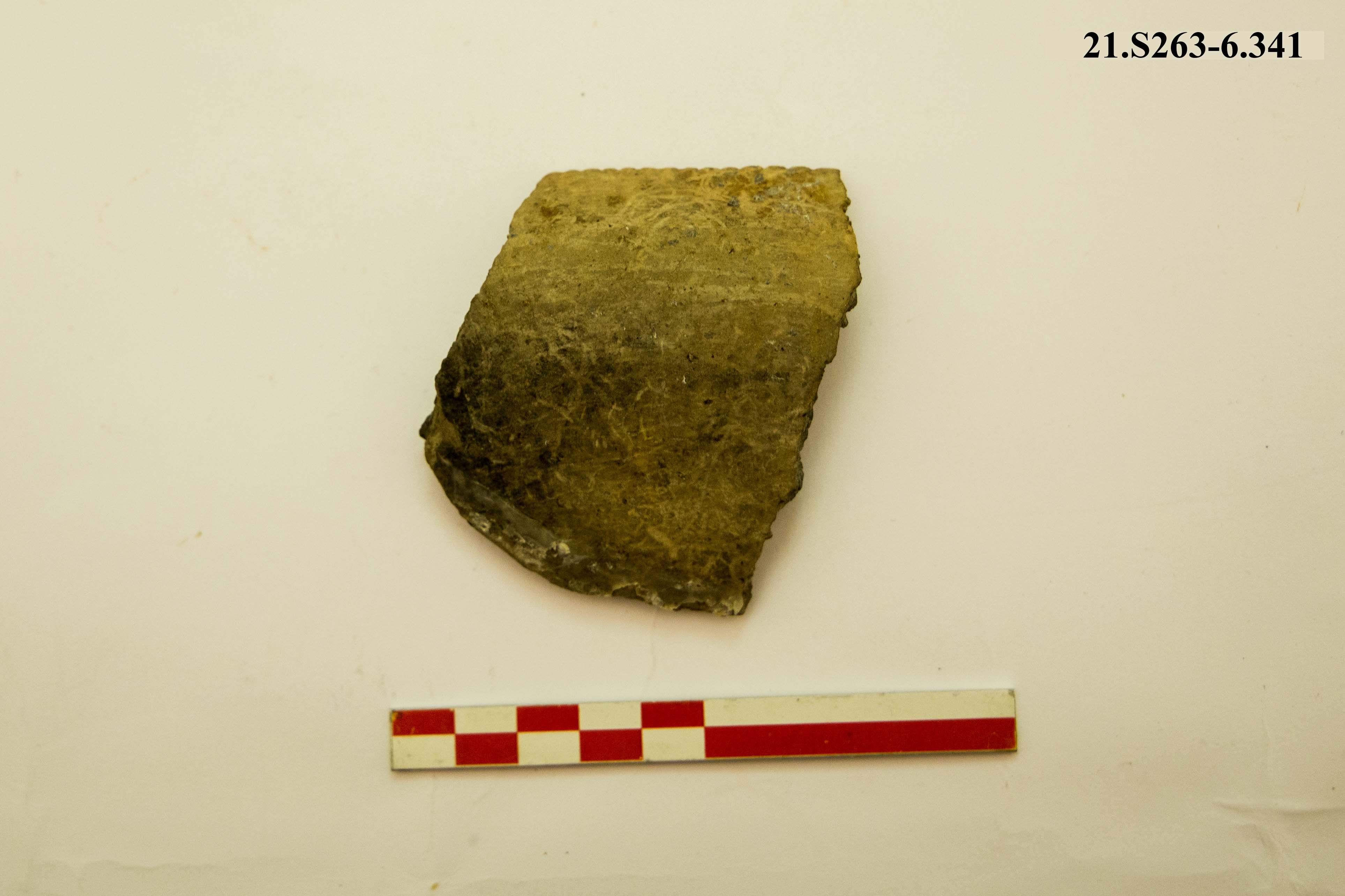 SINGOLO OGGETTO/ ciotola, PERIODIZZAZIONI/ PROTOSTORIA/ Età del Bronzo