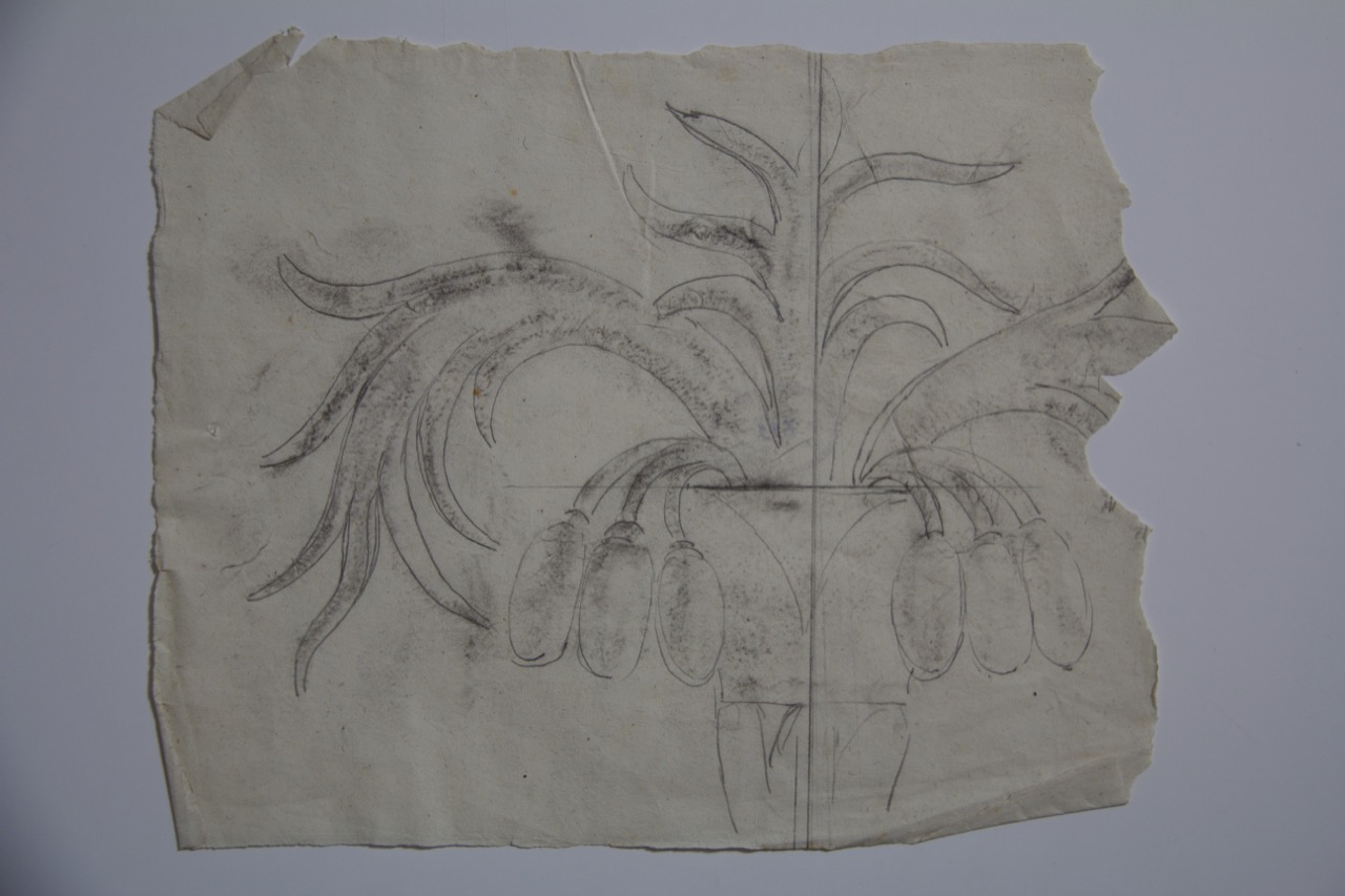 disegno architettonico, Palme decorative del Mausoleo di Galla Placidia (?) di Ravenna di Anonimo italiano (XX)