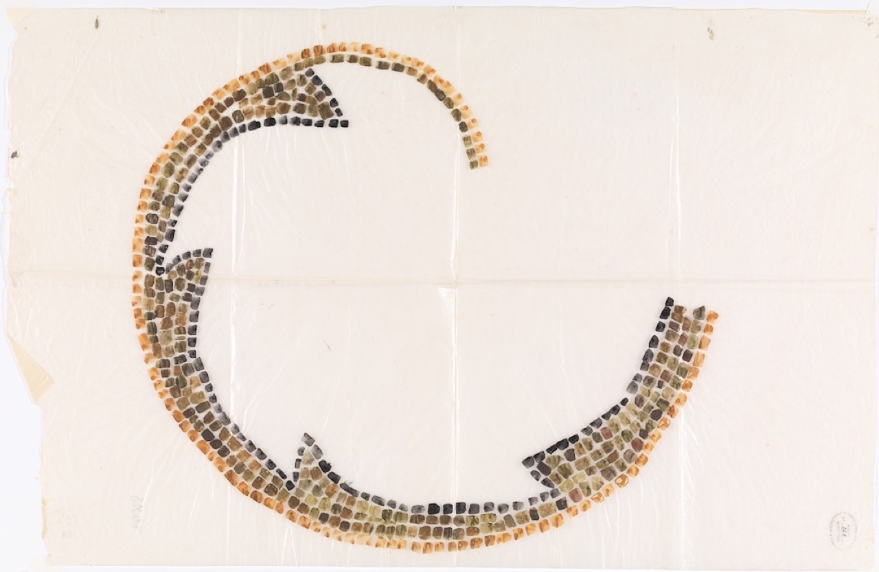 disegno architettonico, Schema di una voluta d’acanto nella decorazione musiva della volta a crociera del presbiterio della basilica di San Vitale di Ravenna di Anonimo italiano (XIX-XX)