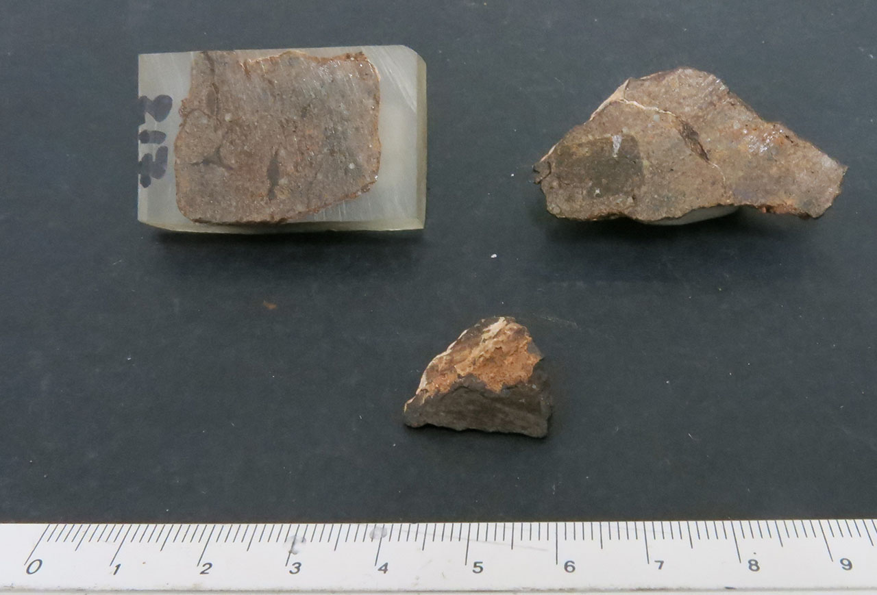 Northwest Africa 12252 Condrite Ordinaria (esemplari)