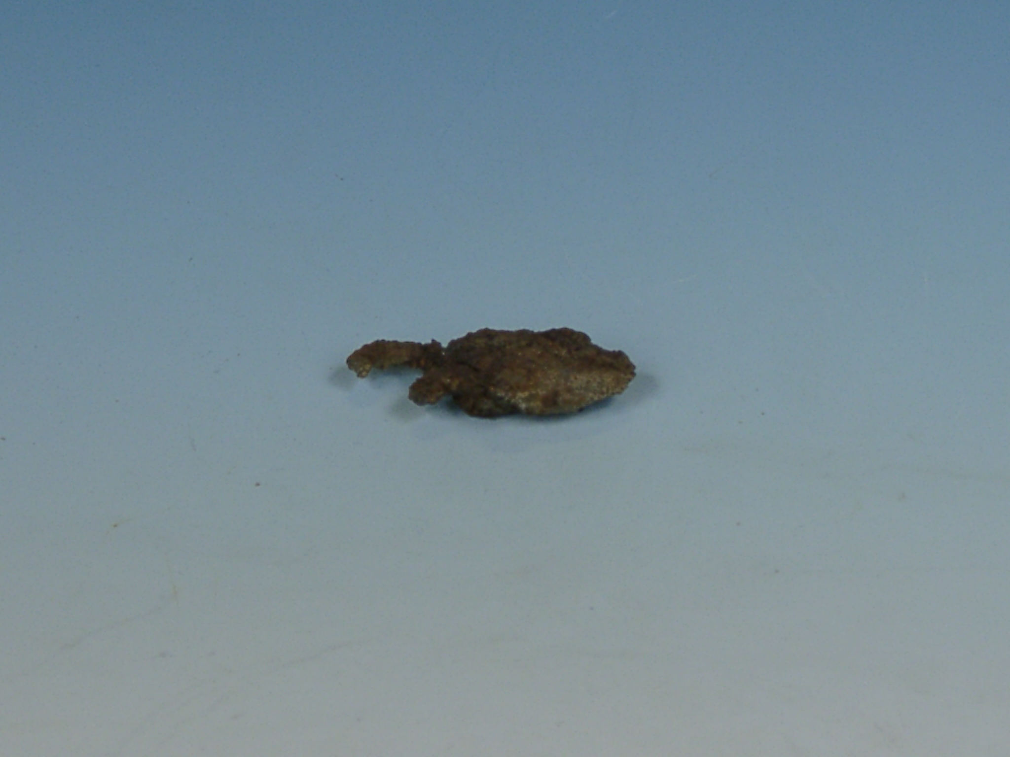 SINGOLO OGGETTO/ pendente, SECOLI/ VII a.C