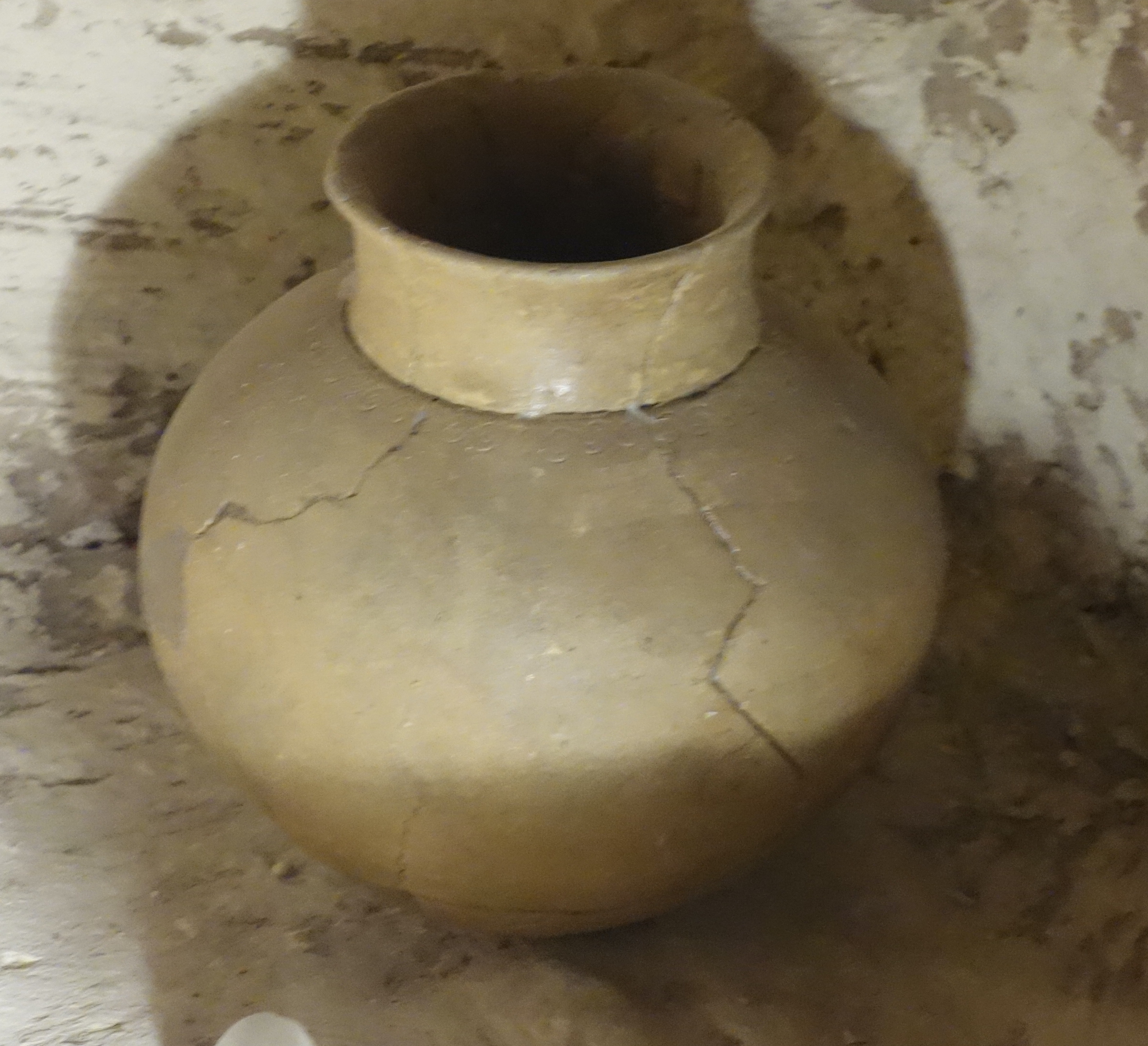 SINGOLO OGGETTO/ olla, SECOLI/ VII a.C