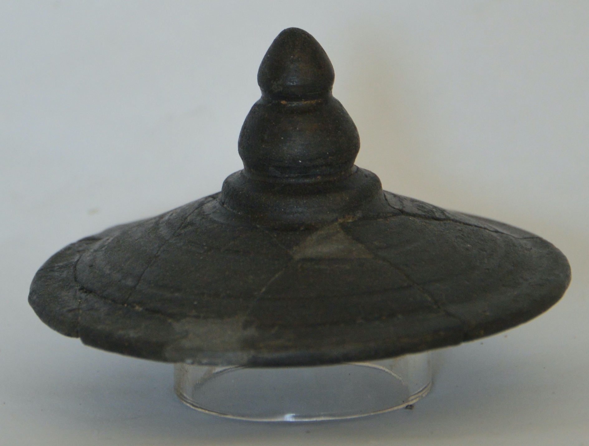 SINGOLO OGGETTO/ coperchio, SECOLI/ V a.C