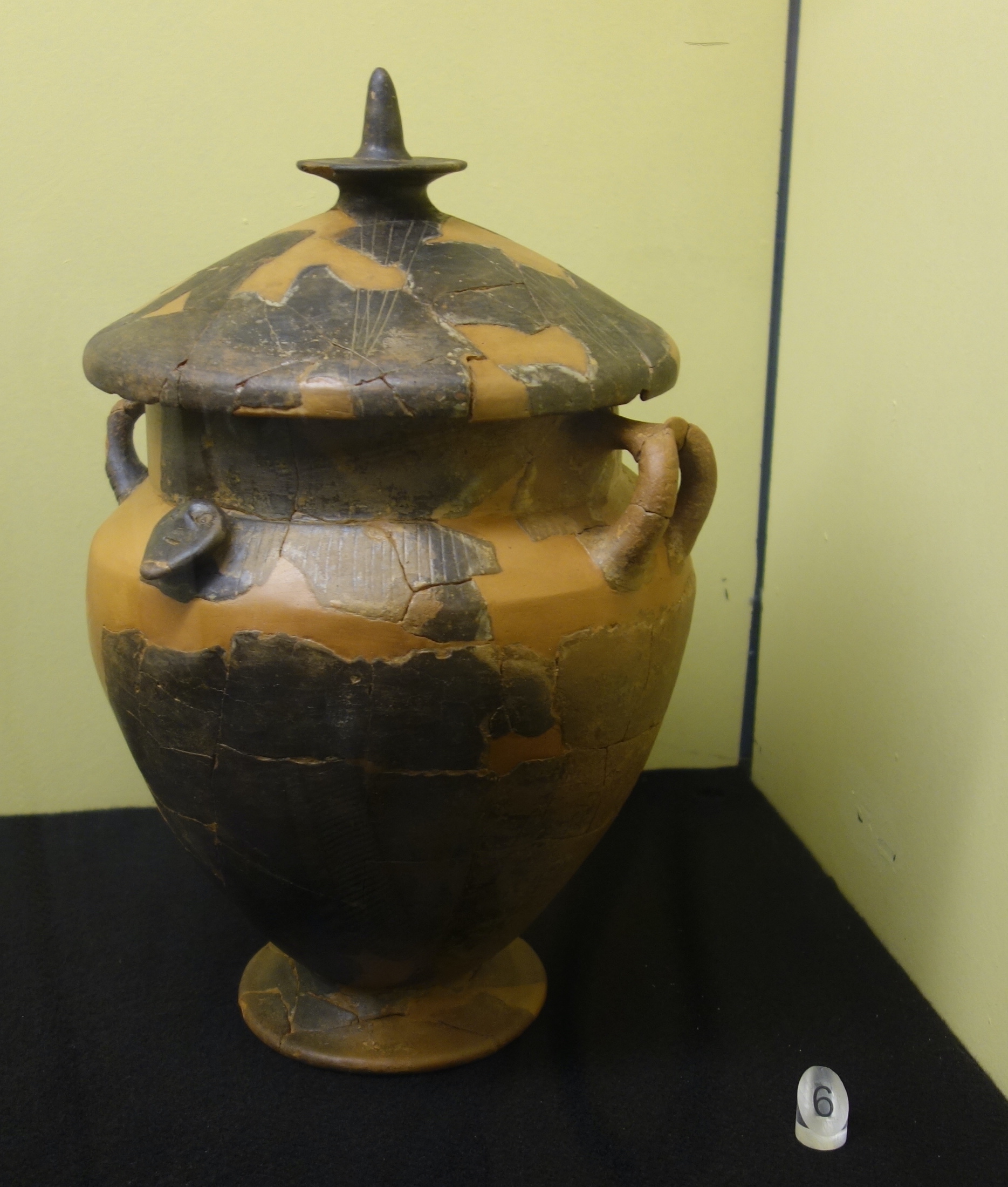 SINGOLO OGGETTO/ olla, SECOLI/ VII a.C