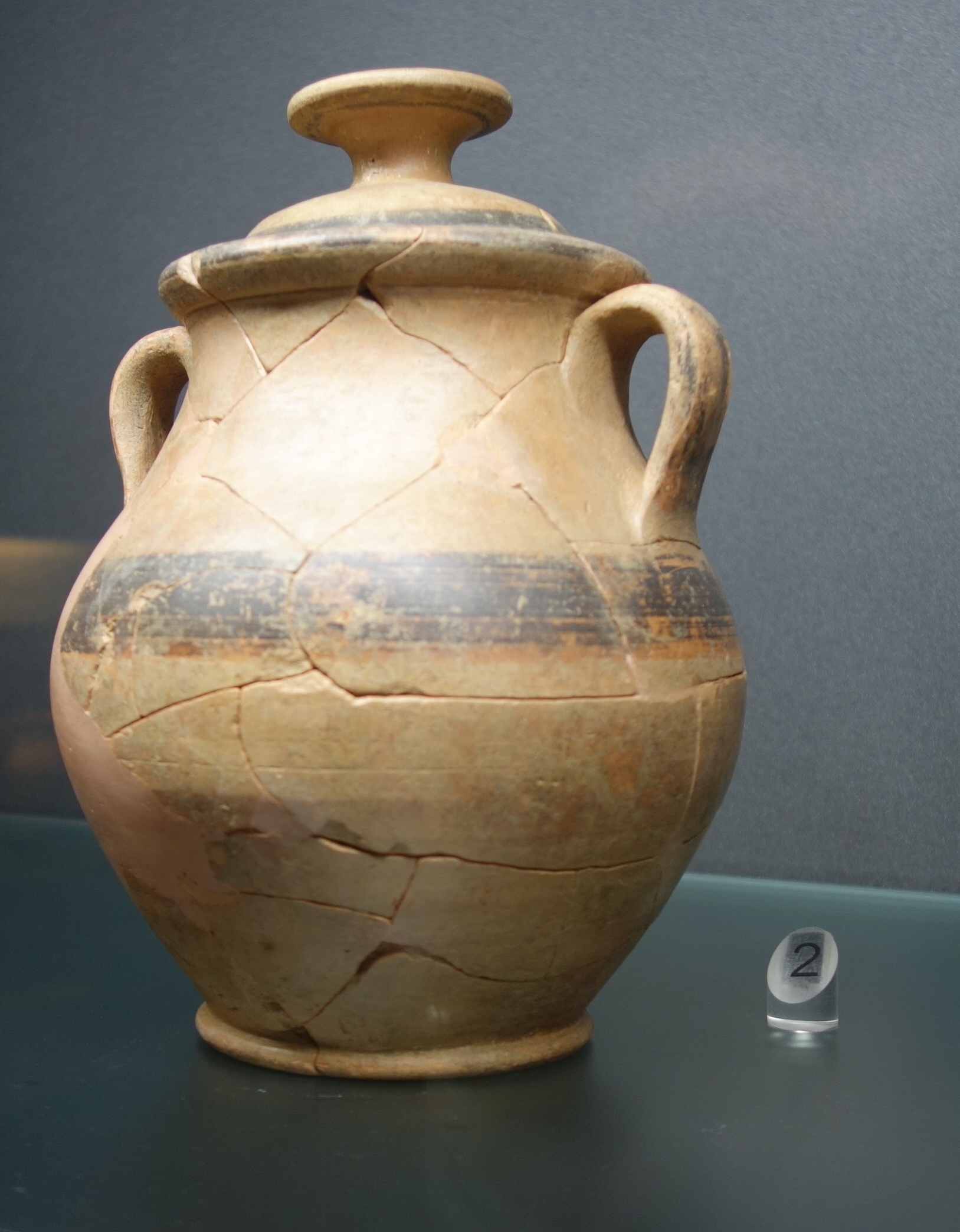 SINGOLO OGGETTO/ olla, SECOLI/ VI a.C