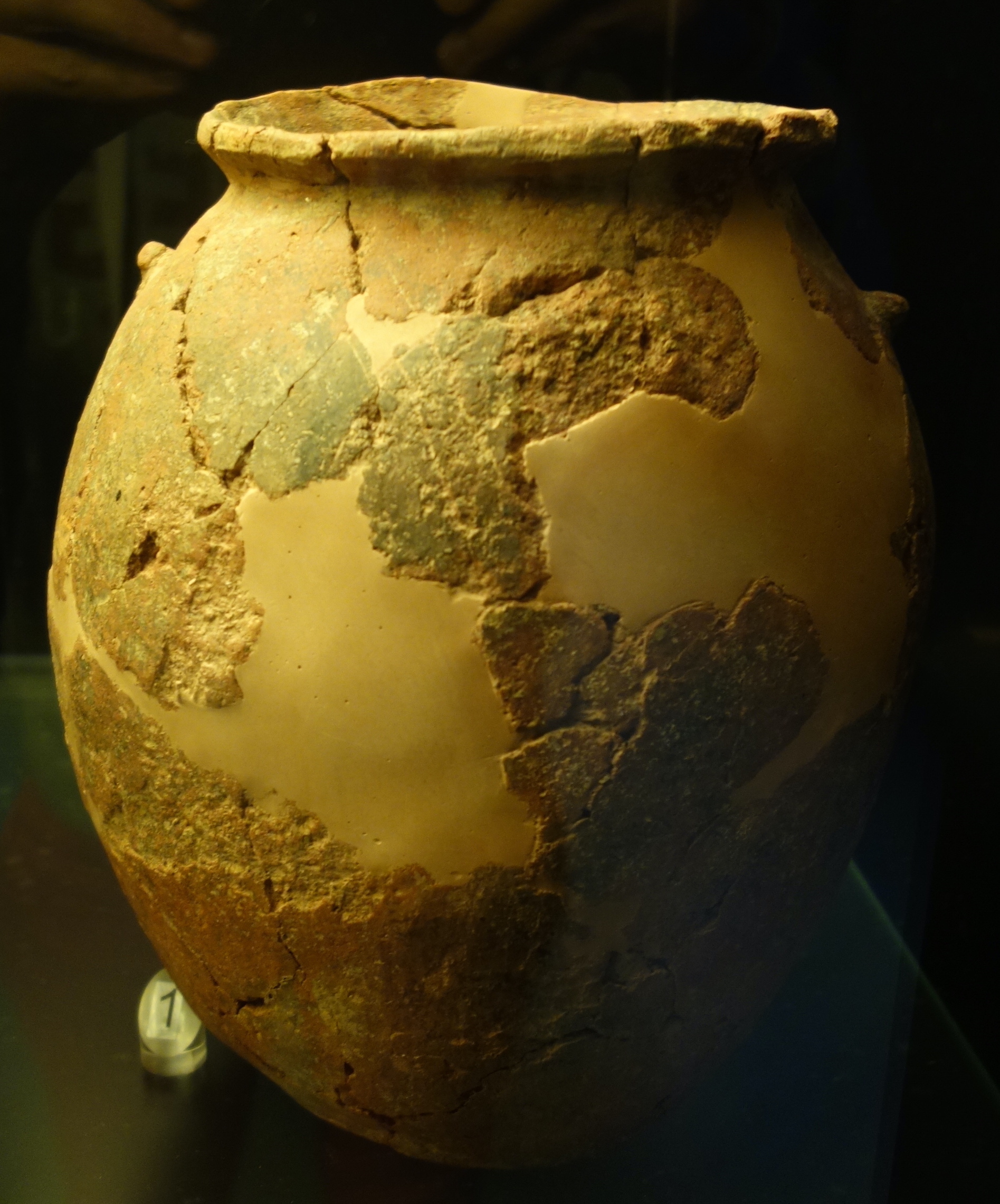 SINGOLO OGGETTO/ olla, SECOLI/ VII a.C