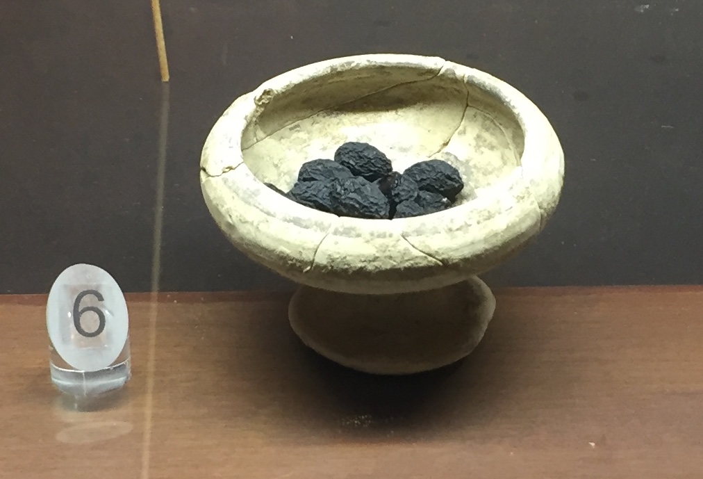 SINGOLO OGGETTO/ coppa, SECOLI/ VI a.C