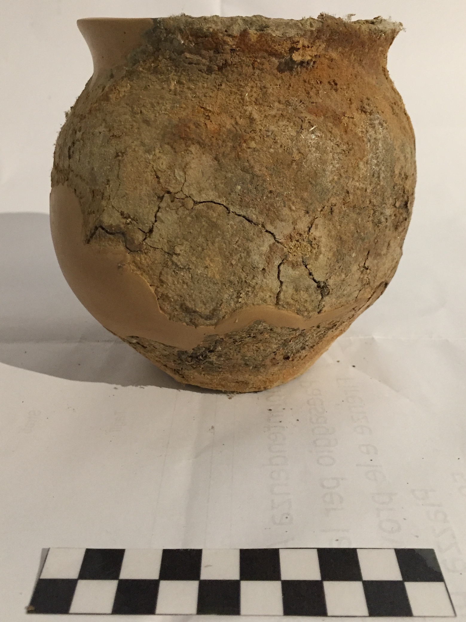 SINGOLO OGGETTO/ olla, PERIODIZZAZIONI/ STORIA/ Età antica/ Età romana