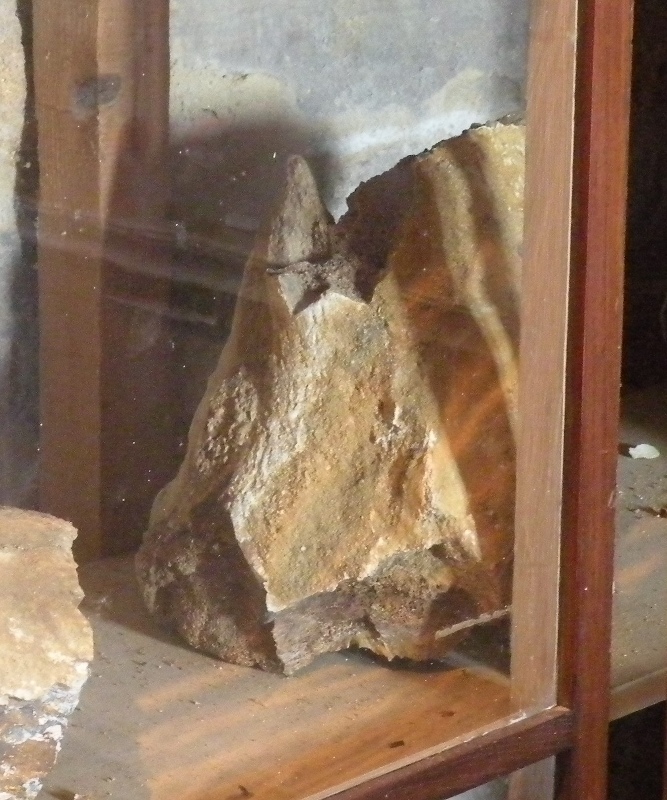 SINGOLO OGGETTO, PERIODIZZAZIONI/ ERE GEOLOGICHE/ Pleistocene