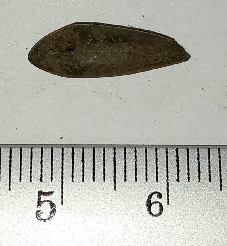 SINGOLO OGGETTO/ vago, MILLENNI/ V millennio a.C, PERIODIZZAZIONI/ PREISTORIA/ Neolitico