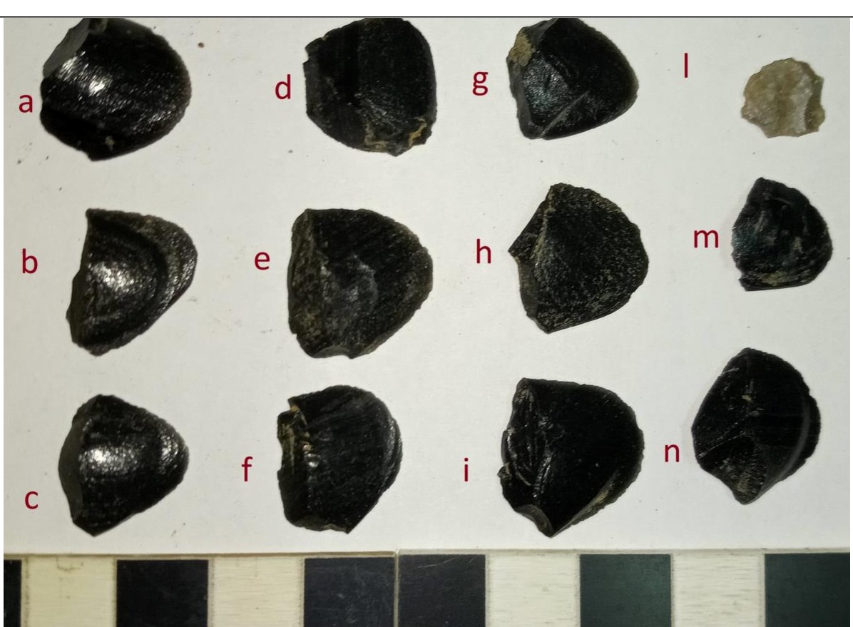SINGOLO OGGETTO/ falcetto, MILLENNI/ II millennio a.C, PERIODIZZAZIONI/ PROTOSTORIA/ Età del Bronzo
