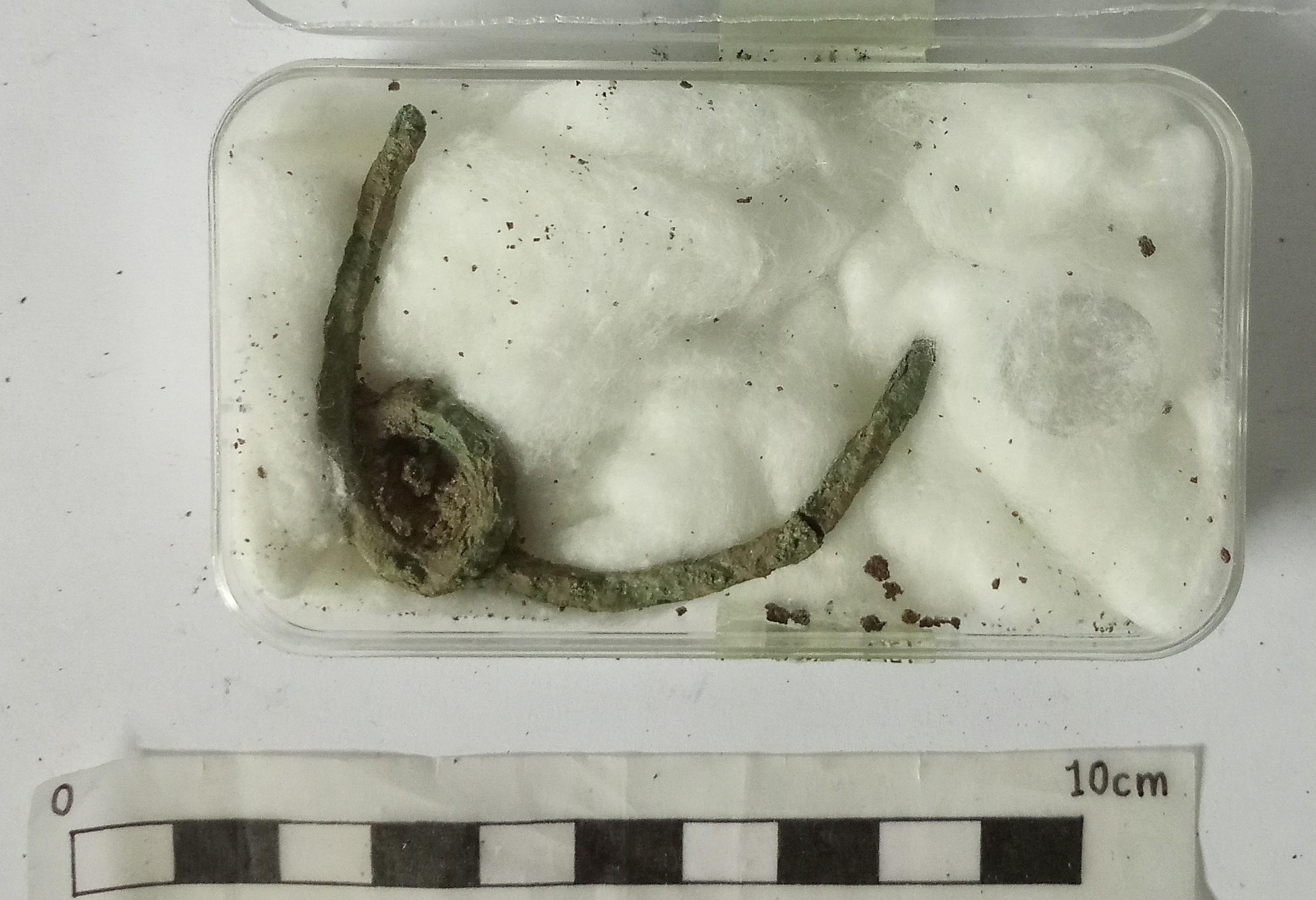 SINGOLO OGGETTO/ fibula, MILLENNI/ I millennio a.C