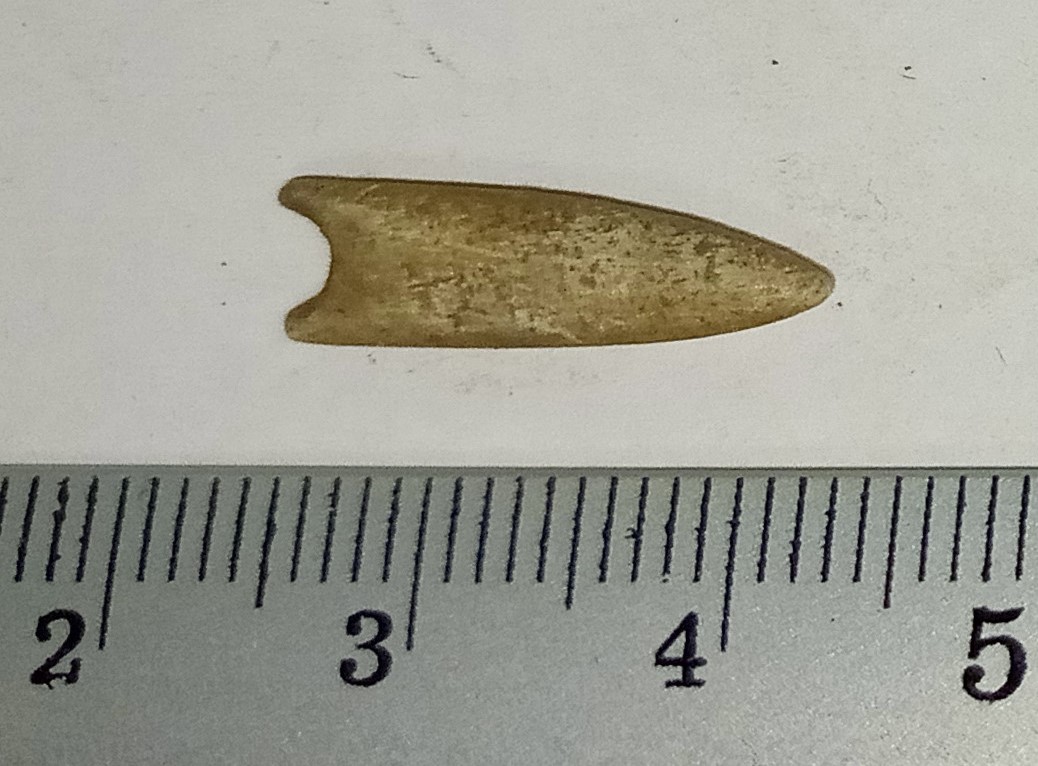 SINGOLO OGGETTO/ vago, MILLENNI/ V millennio a.C, PERIODIZZAZIONI/ PREISTORIA/ Neolitico