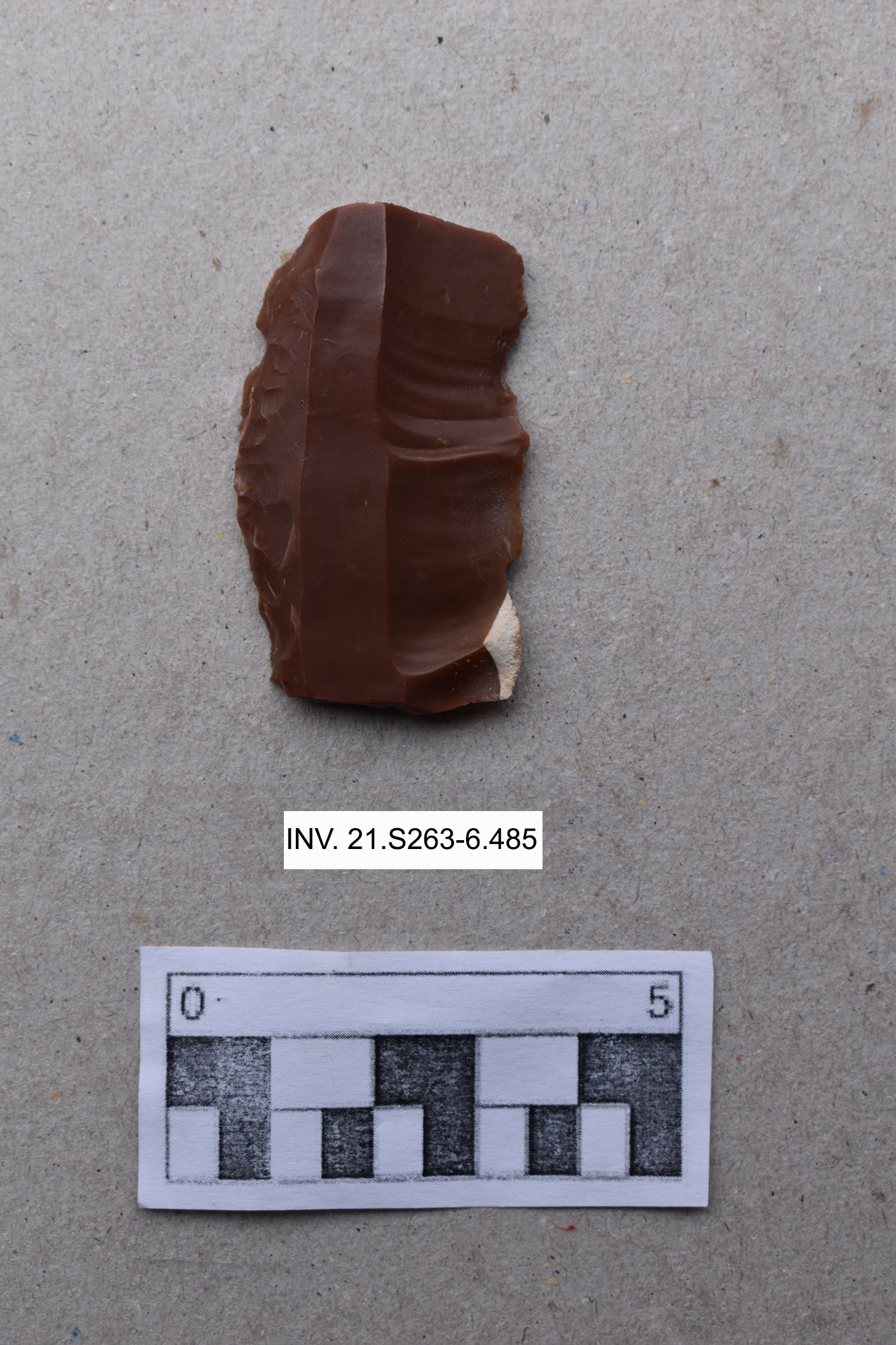 SINGOLO OGGETTO/ lama-raschiatoio, PERIODIZZAZIONI/ PREISTORIA/ Età del Rame