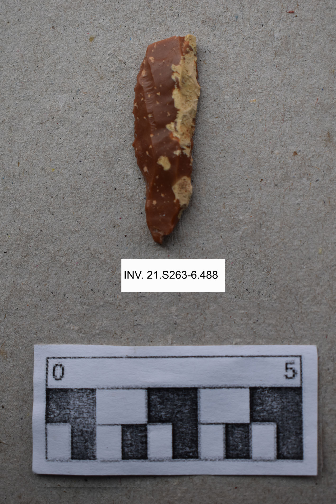 SINGOLO OGGETTO/ lama-raschiatoio, PERIODIZZAZIONI/ PREISTORIA/ Neolitico