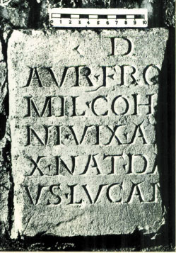 SINGOLO OGGETTO/ stele, SECOLI/ ARCHI DI SECOLI/ II-III