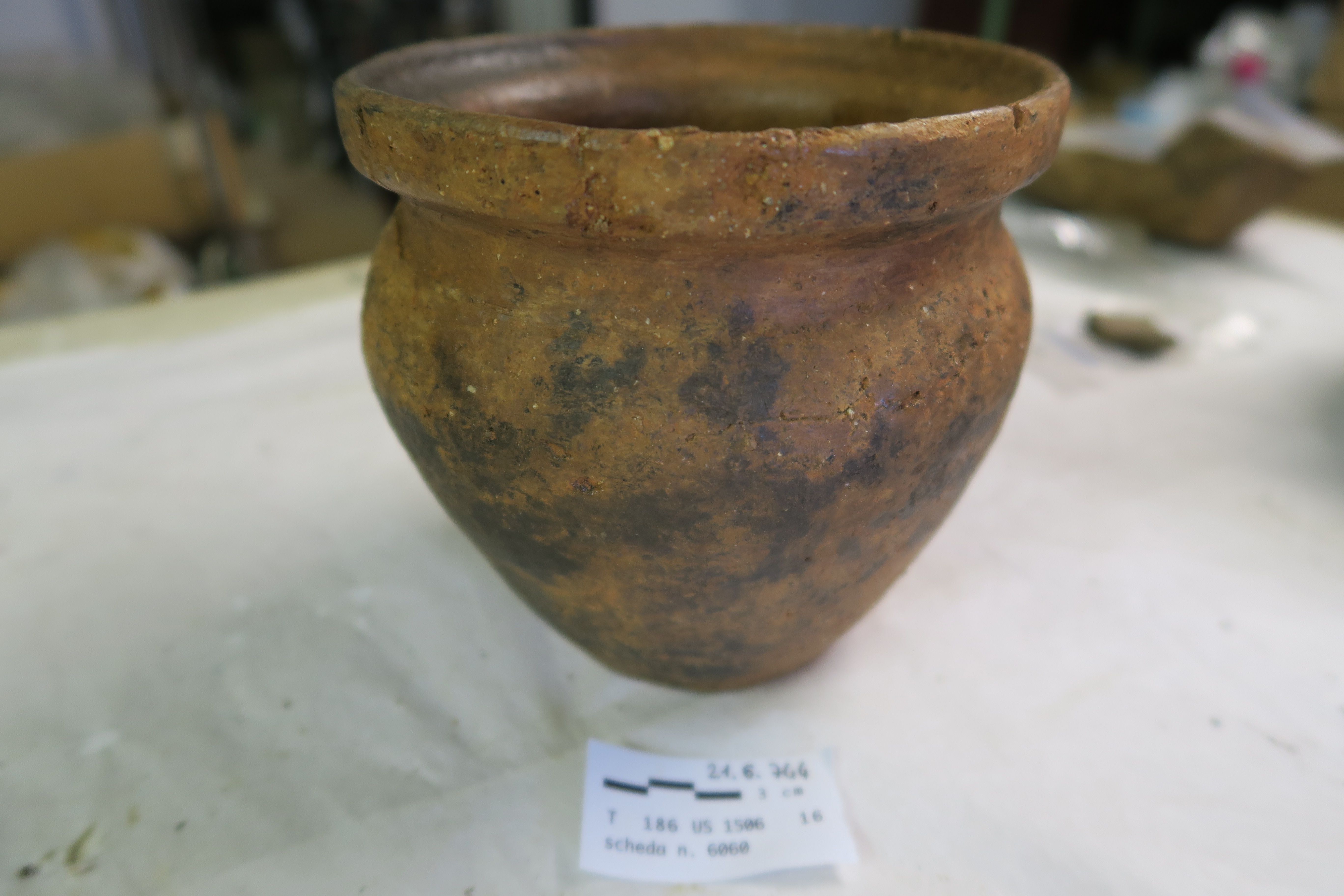 SINGOLO OGGETTO/ olla, SECOLI/ ARCHI DI SECOLI/ II a.C.-I