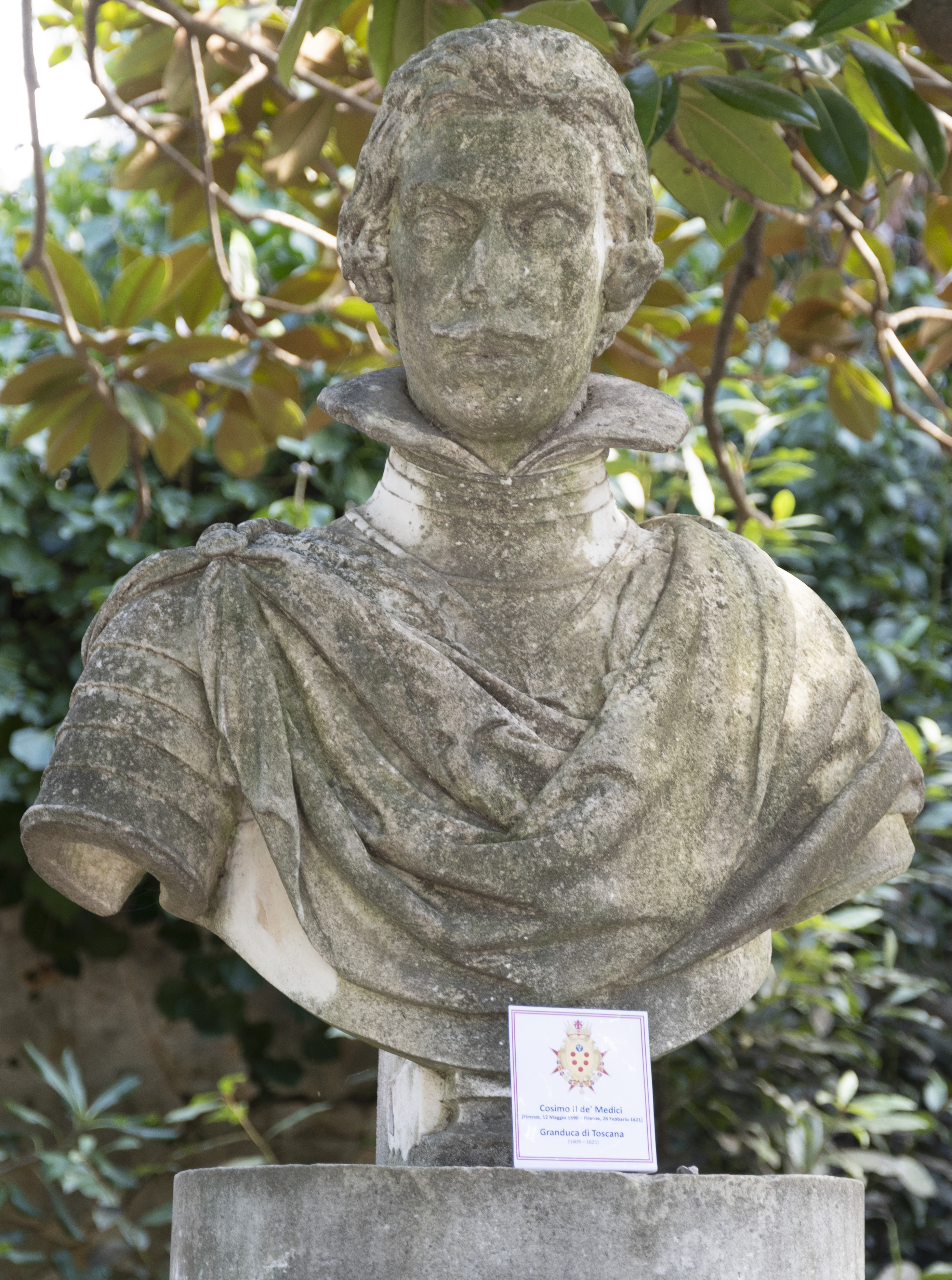 Busto ritratto del granduca Cosimo II de' Medici (scultura, elemento d'insieme) - bottega toscana (XVII)